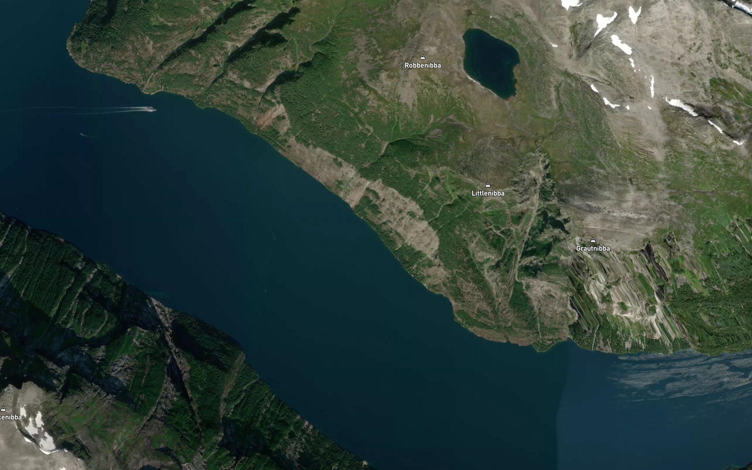 Korsflavika