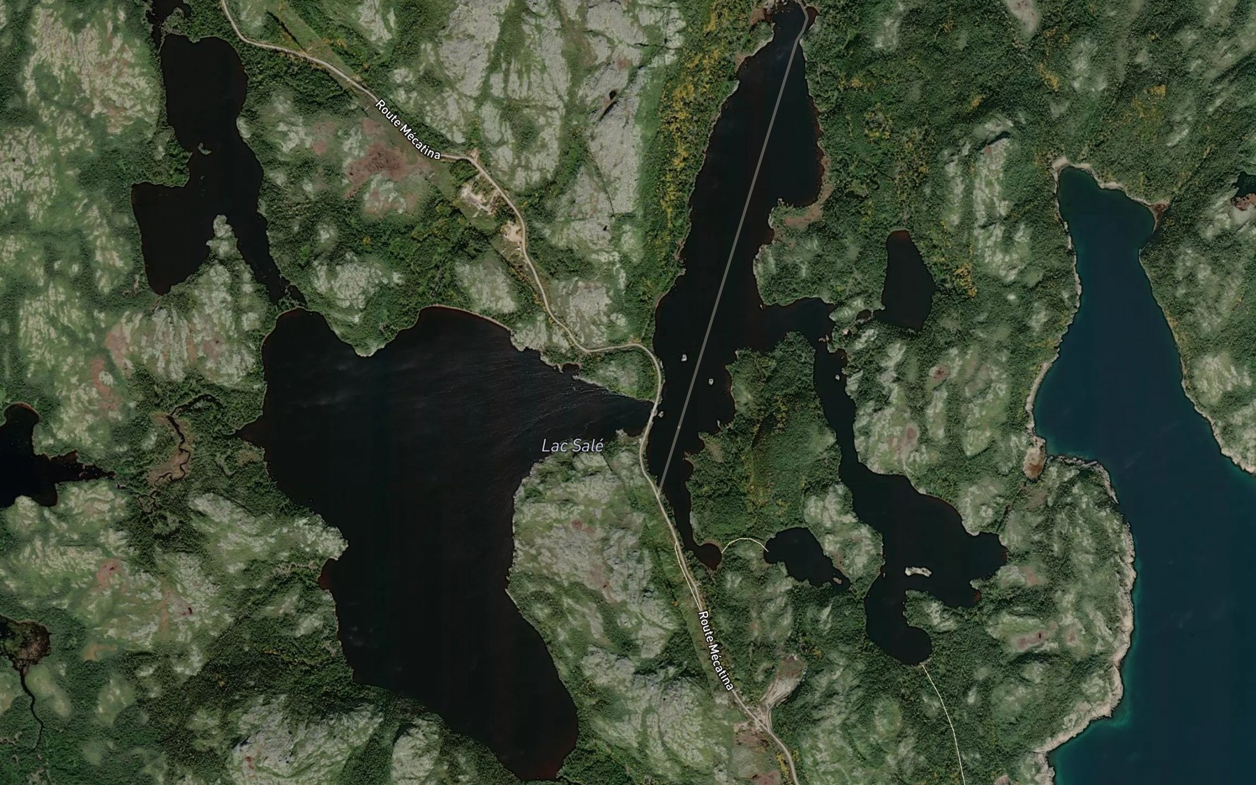 Satellite map of the Lac Sale