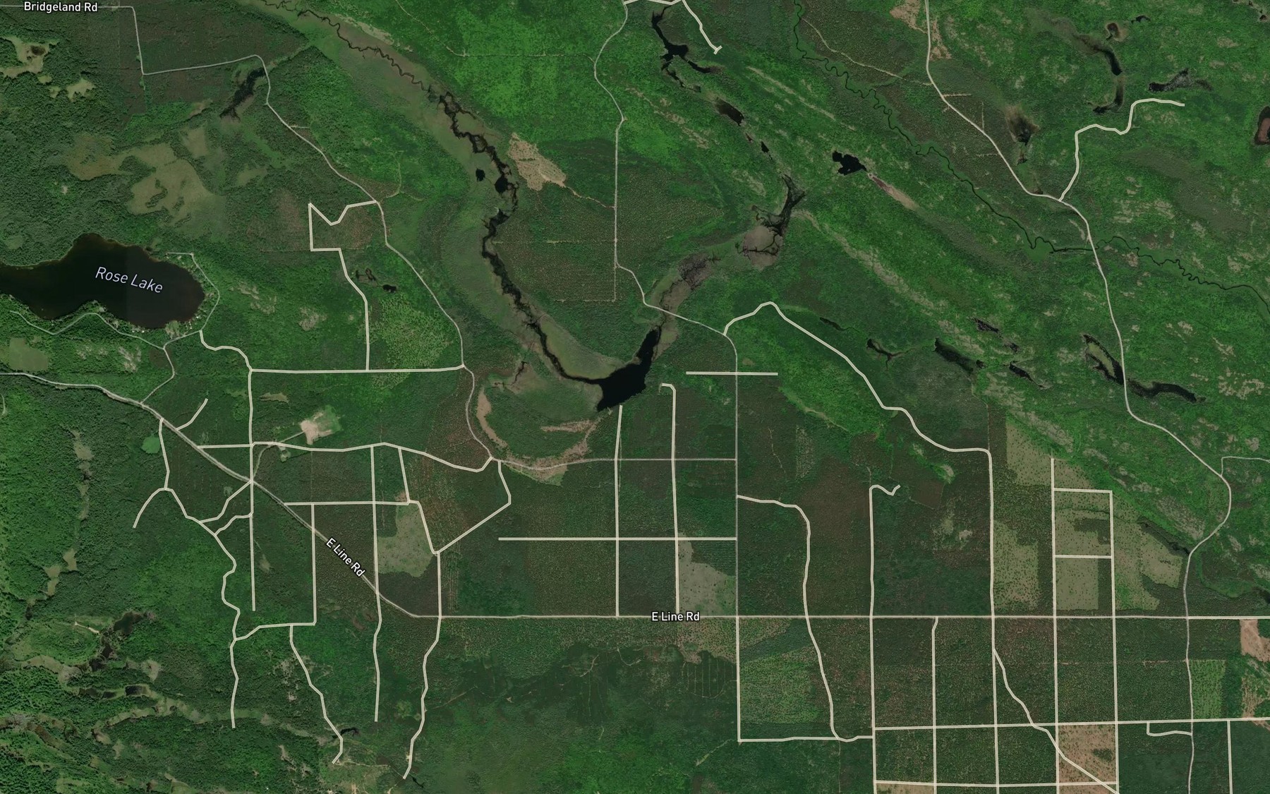 Satellite map of the Randolph Lake