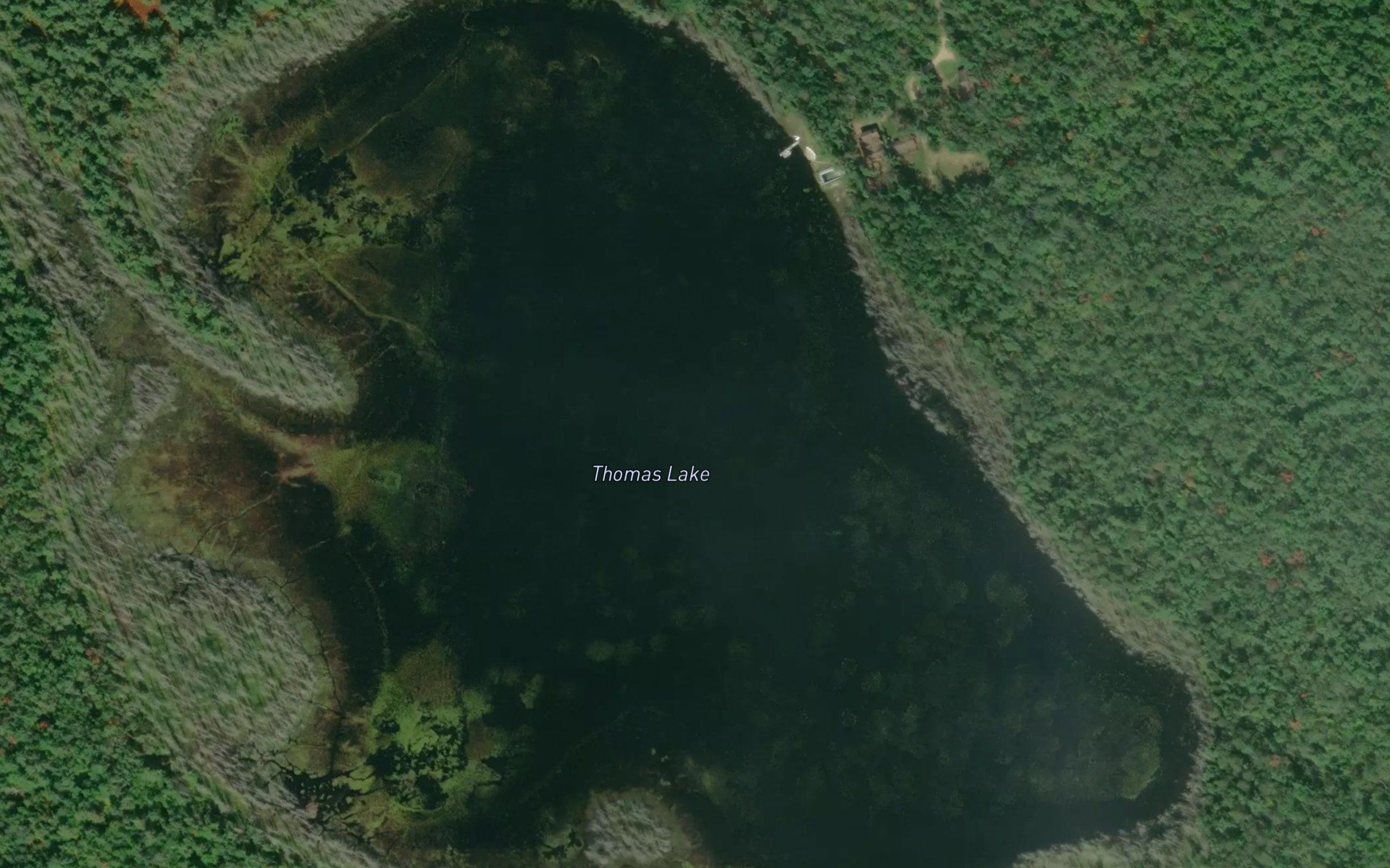 Thomas Lake