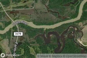 Nelson Creek