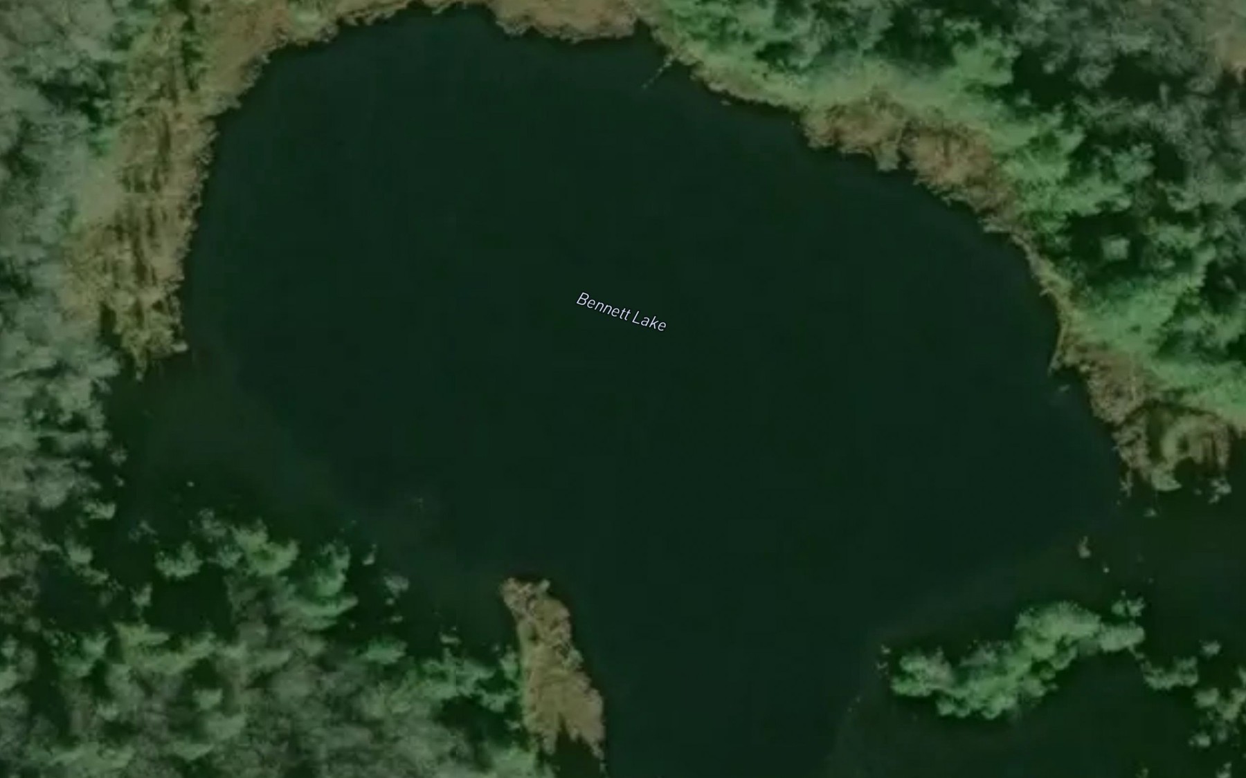 Satellite map of the Bennett Lake