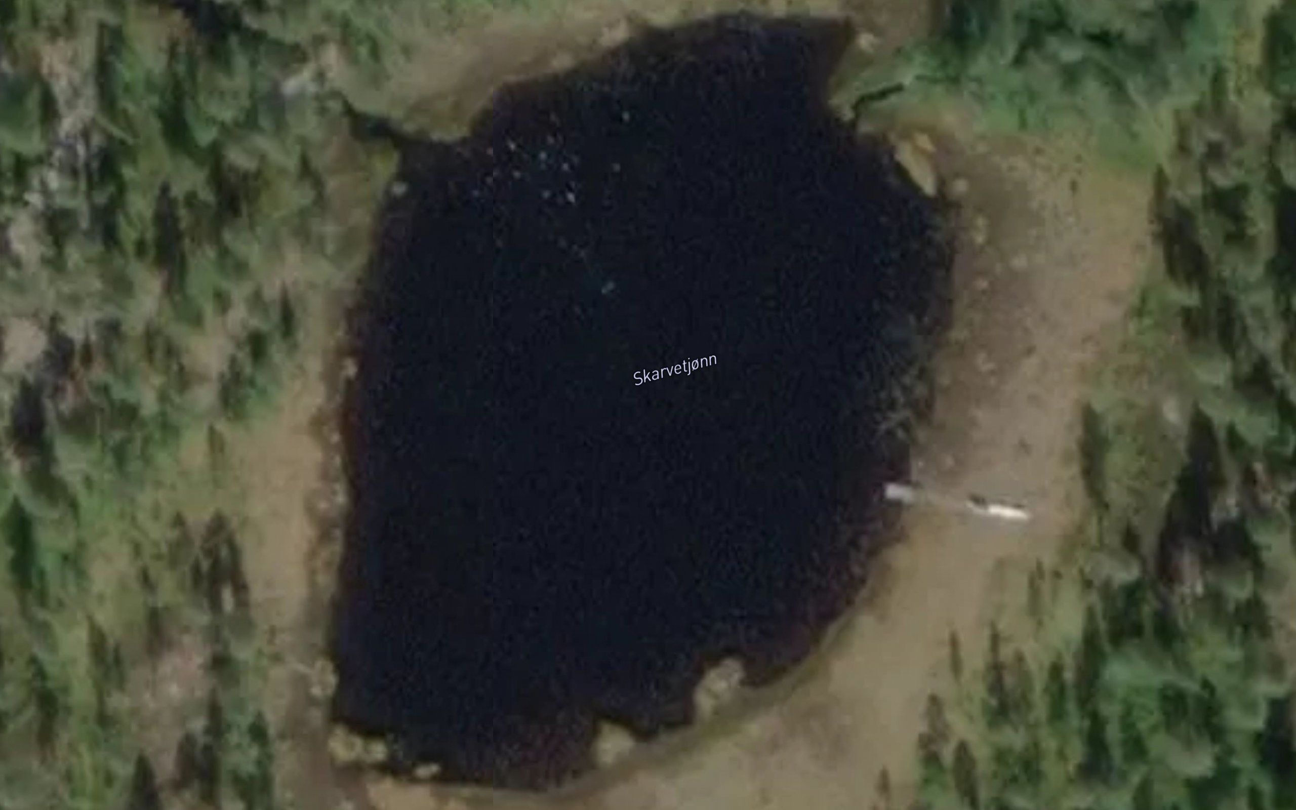 Skarvetjorni