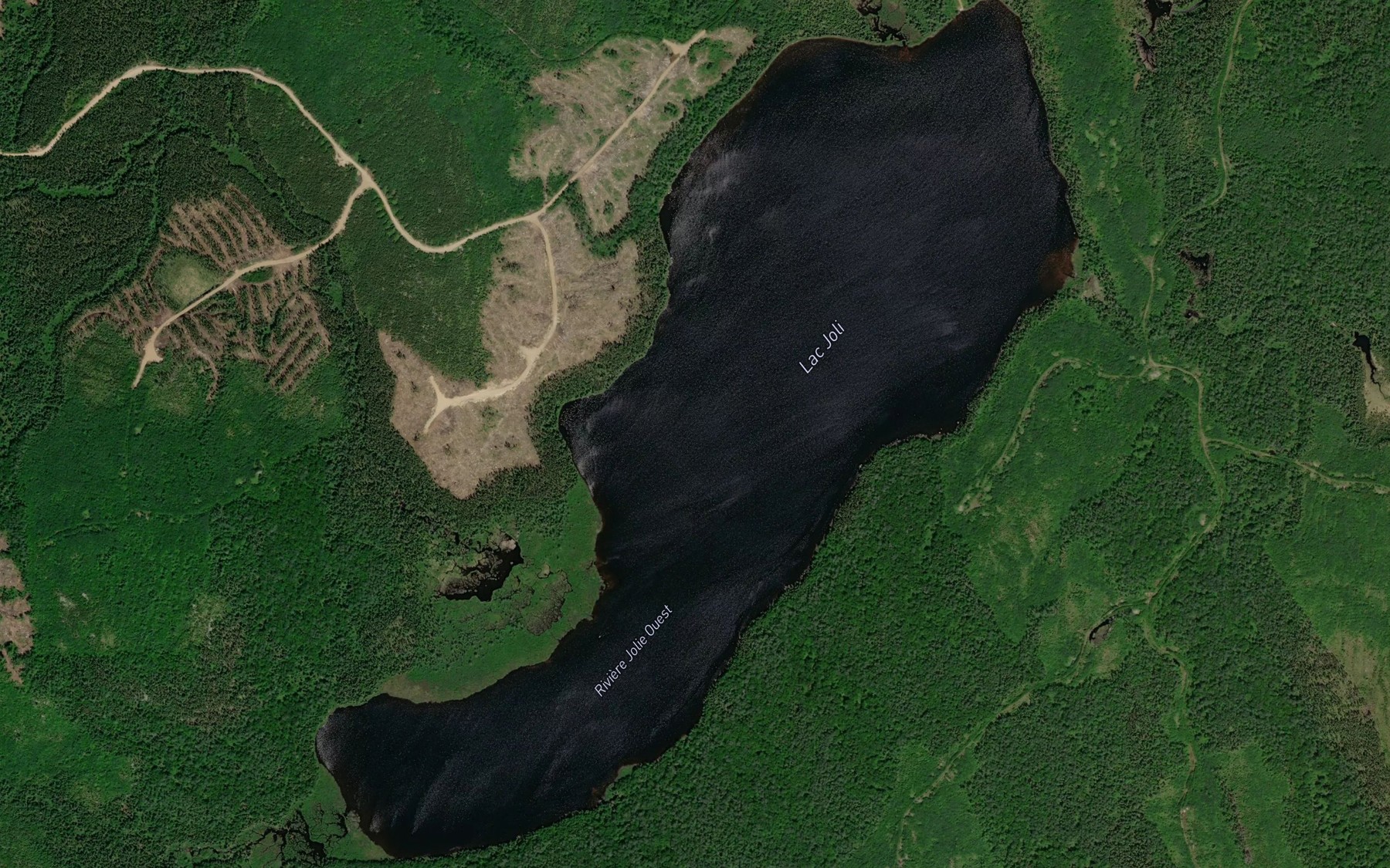 Satellite map of the Lac Joli