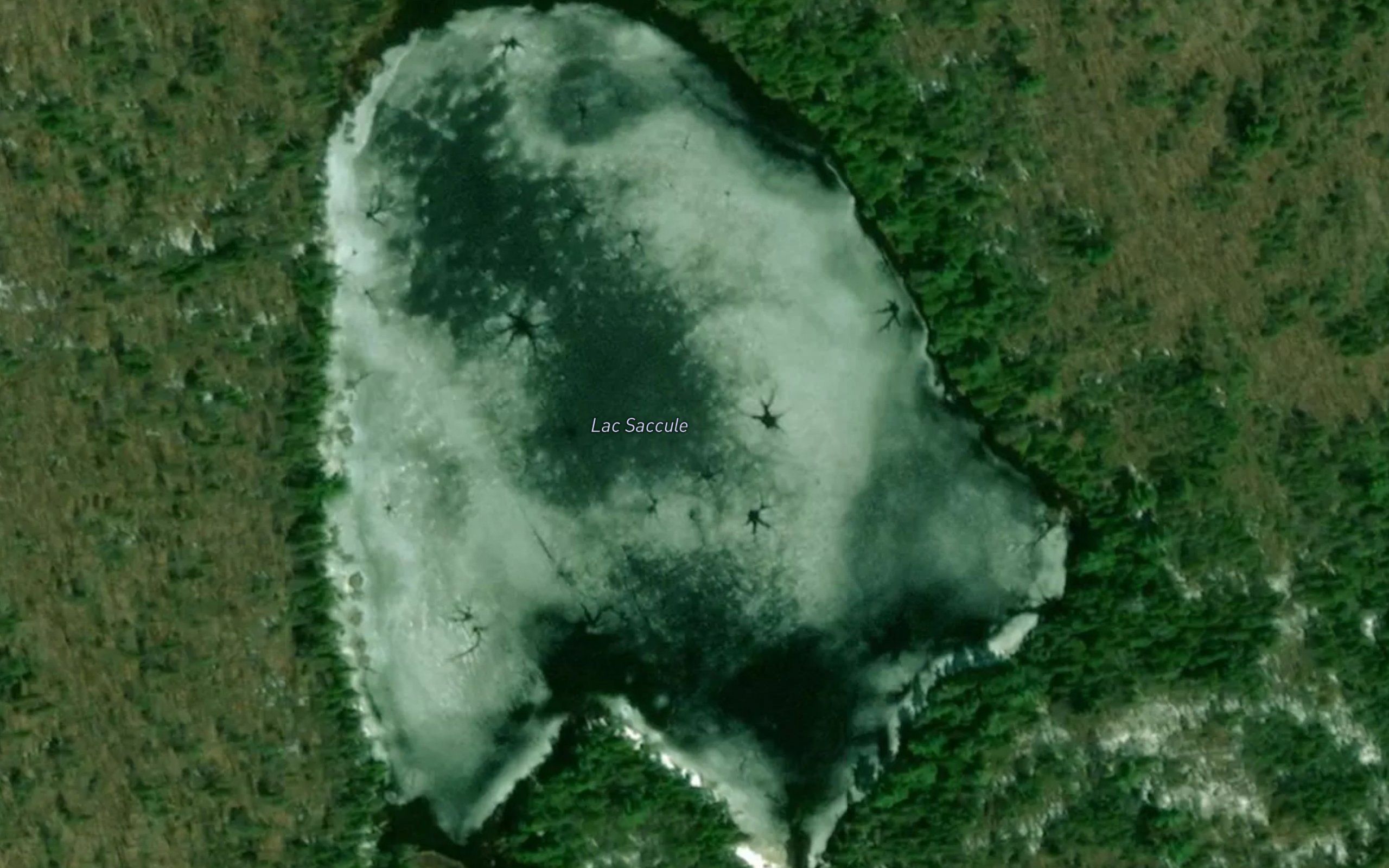 Lac Saccule