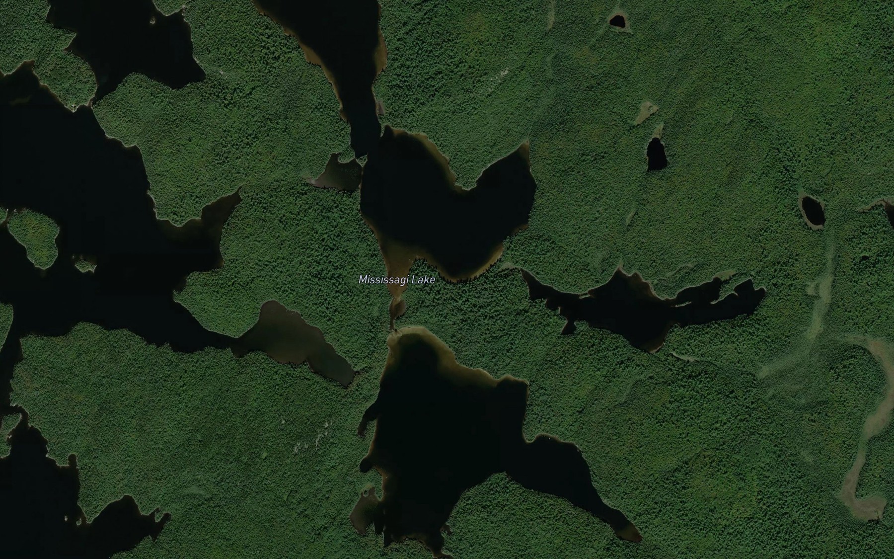 Satellite map of the Mississagi Lake