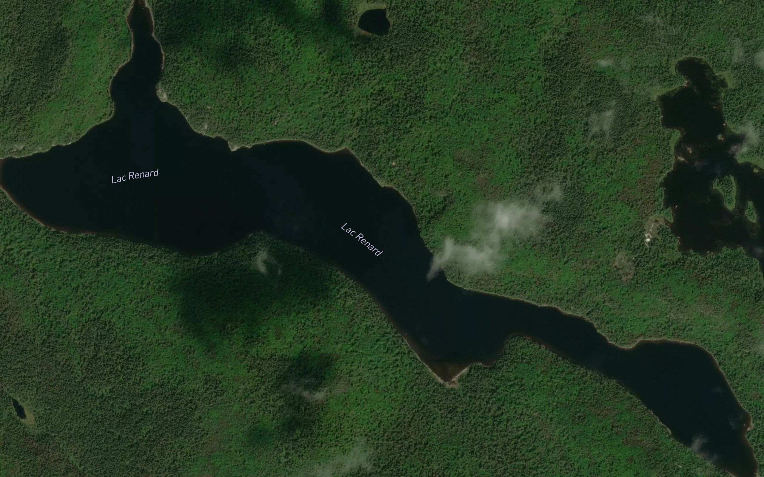Lac Renard