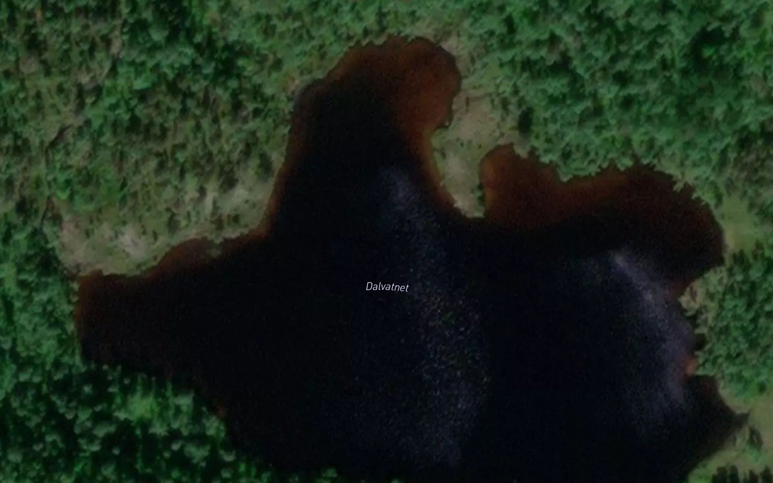 Dalsvatnet