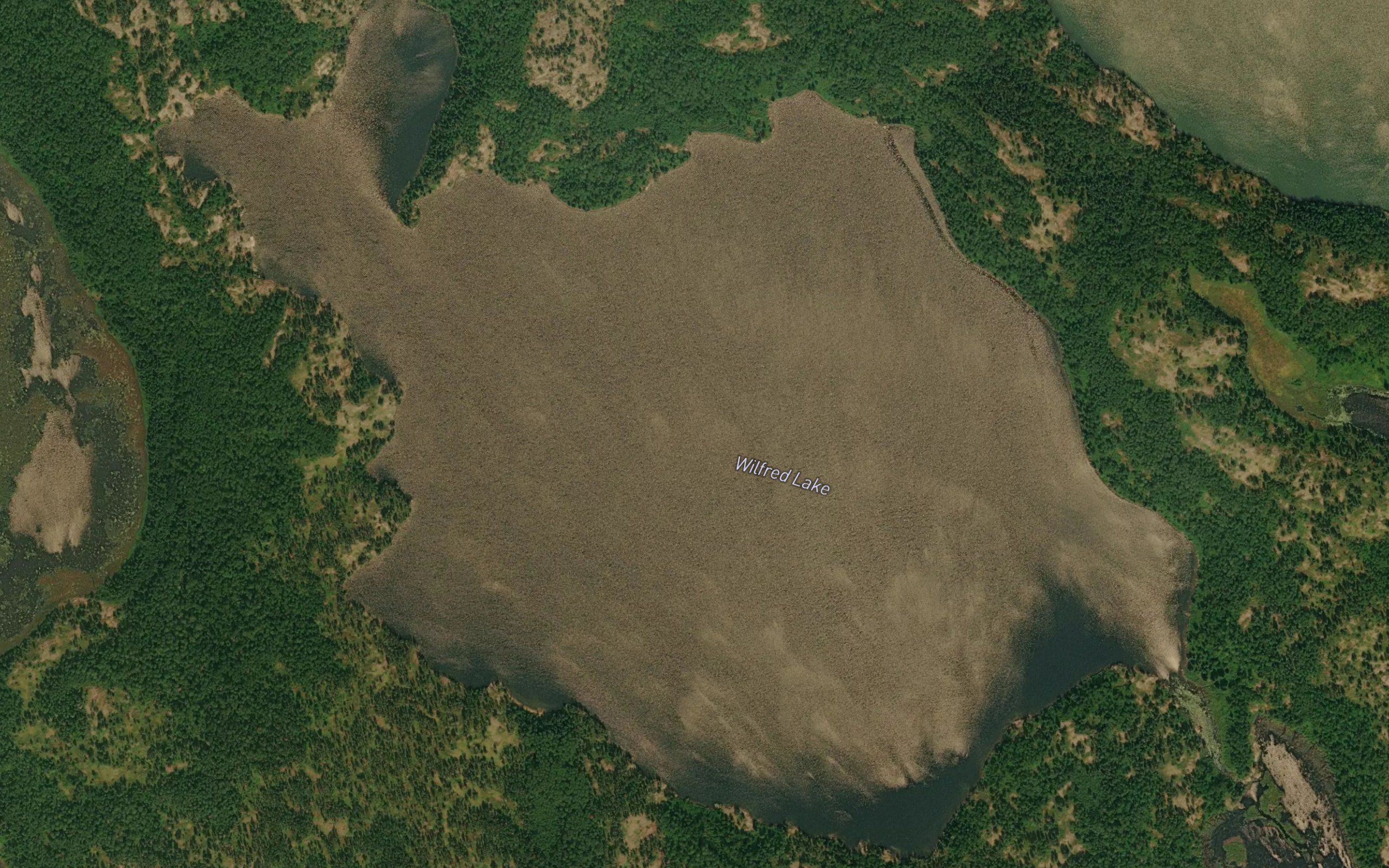 Wilfred Lake
