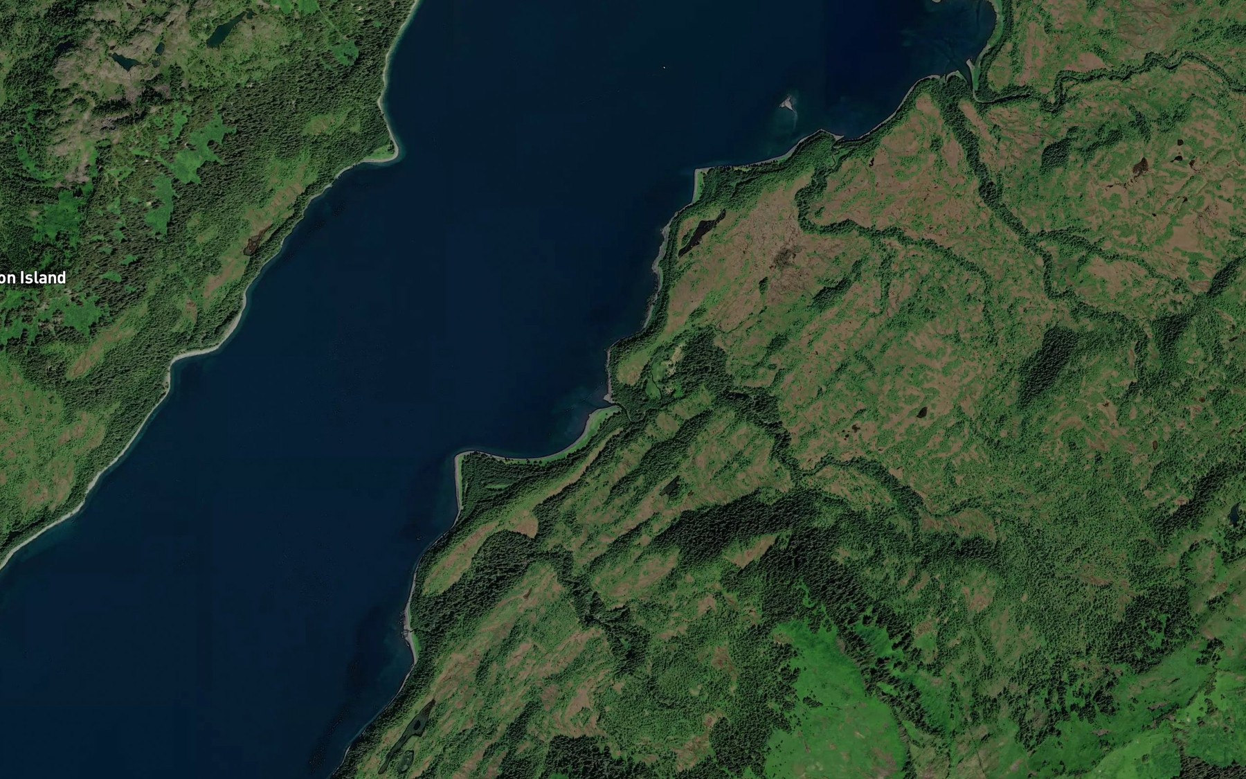 Satellite map of the Montgomery Bay