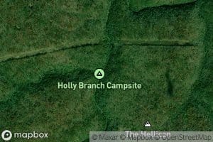Holly Branch