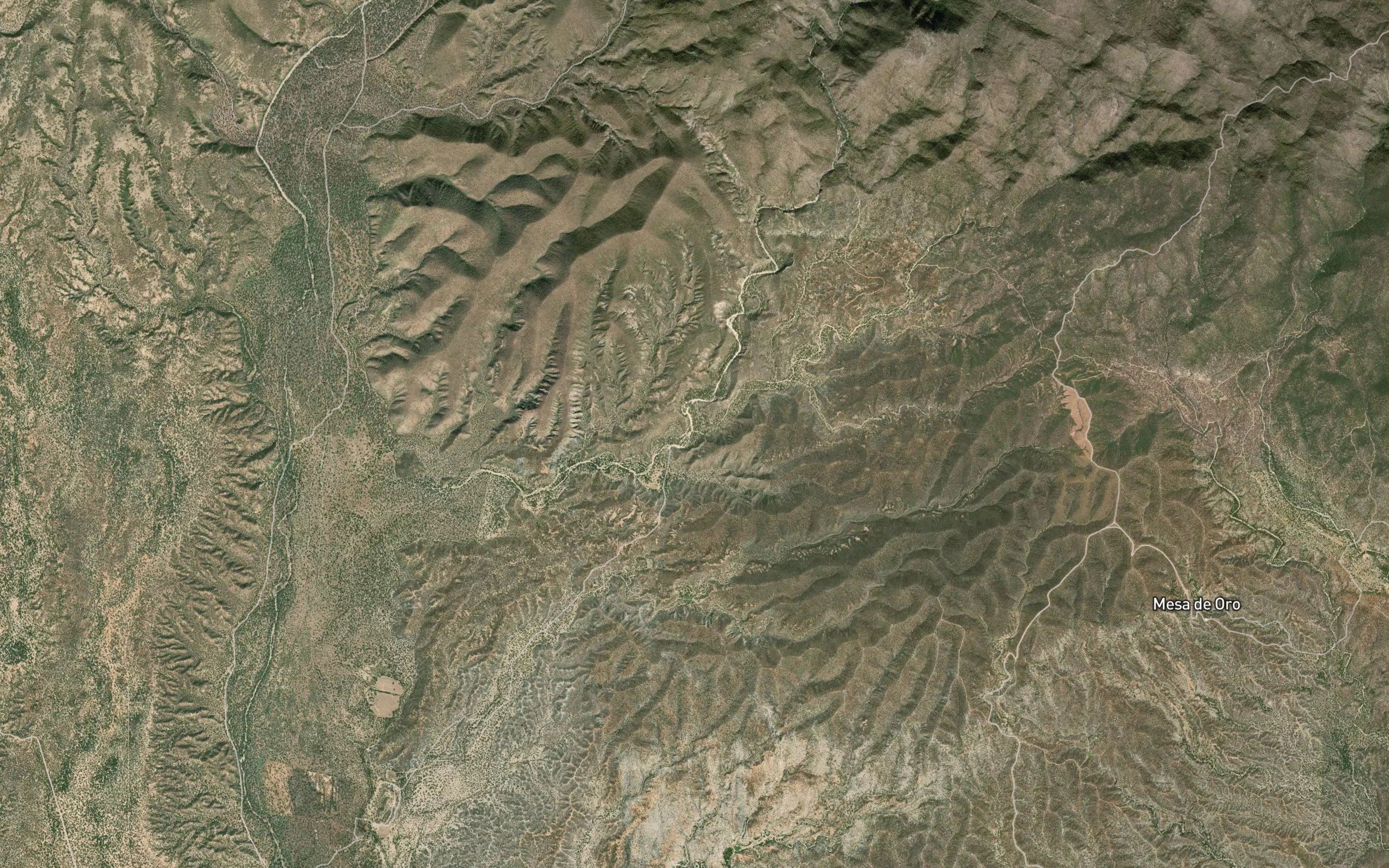 La Palmita