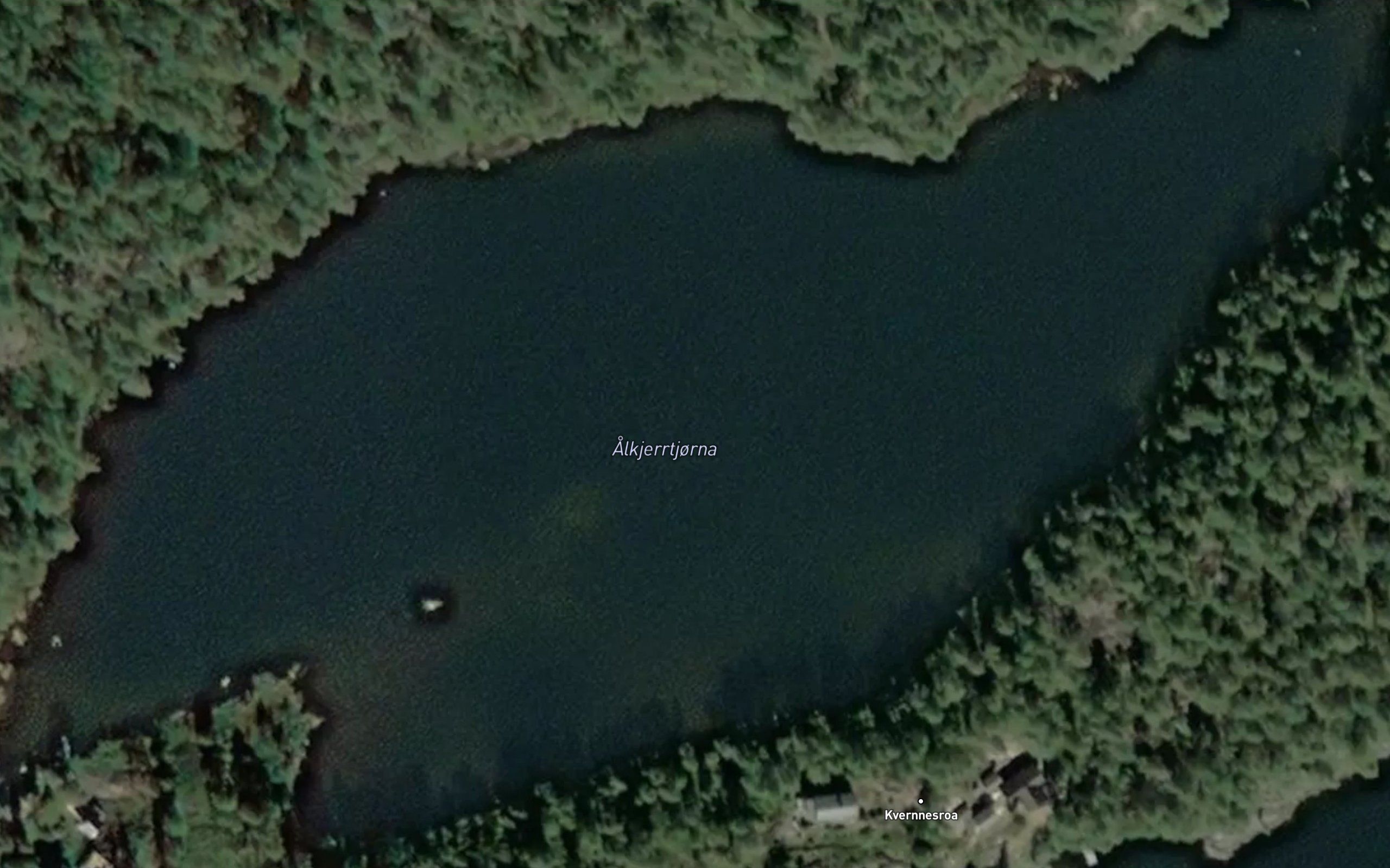 Alkjerrtjorna