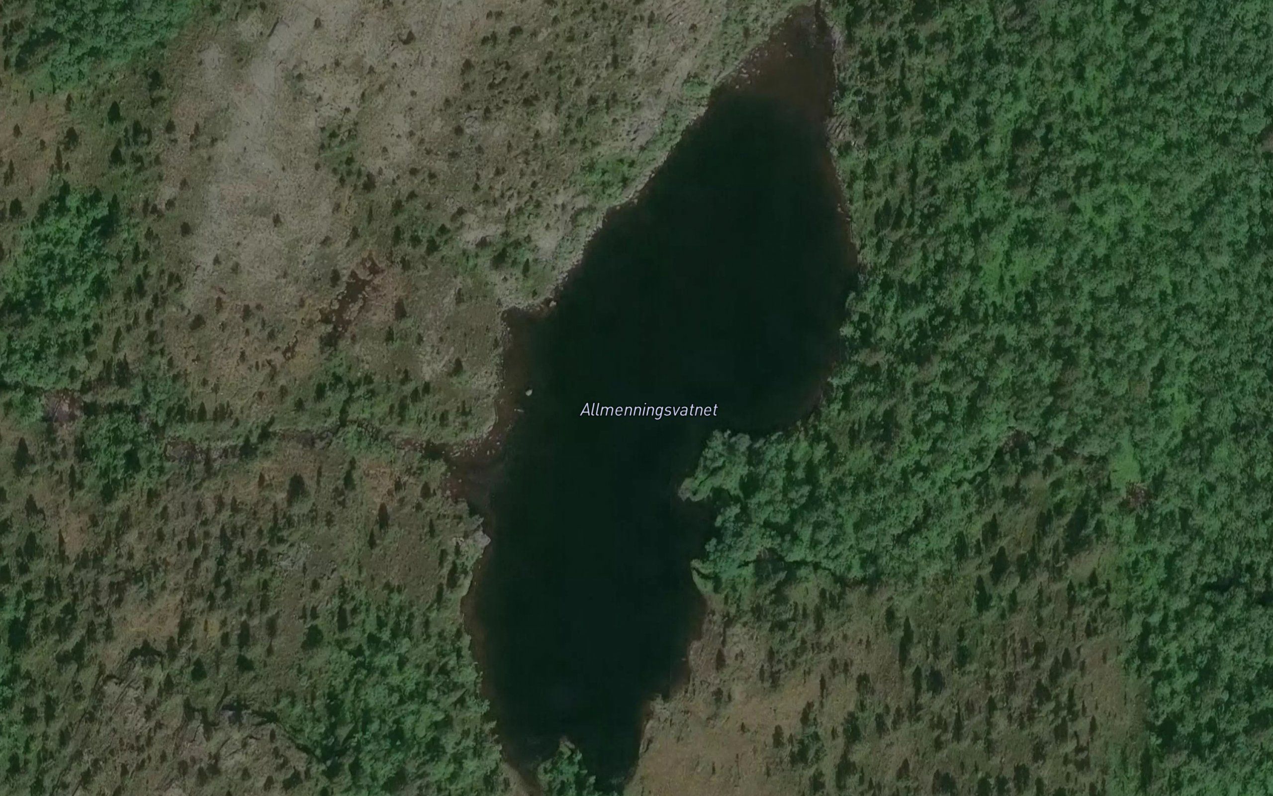 Allmenningsvatnet