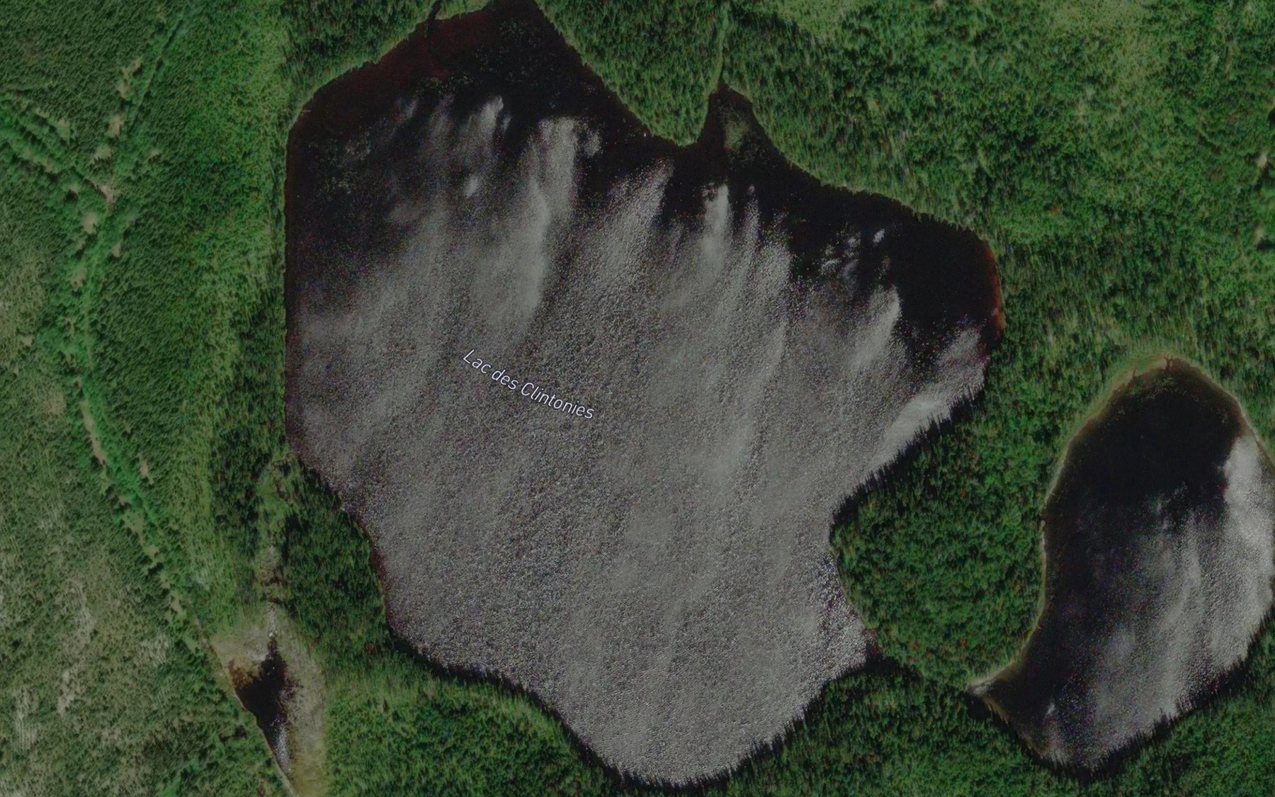 Satellite map of the Lac des Clintonies