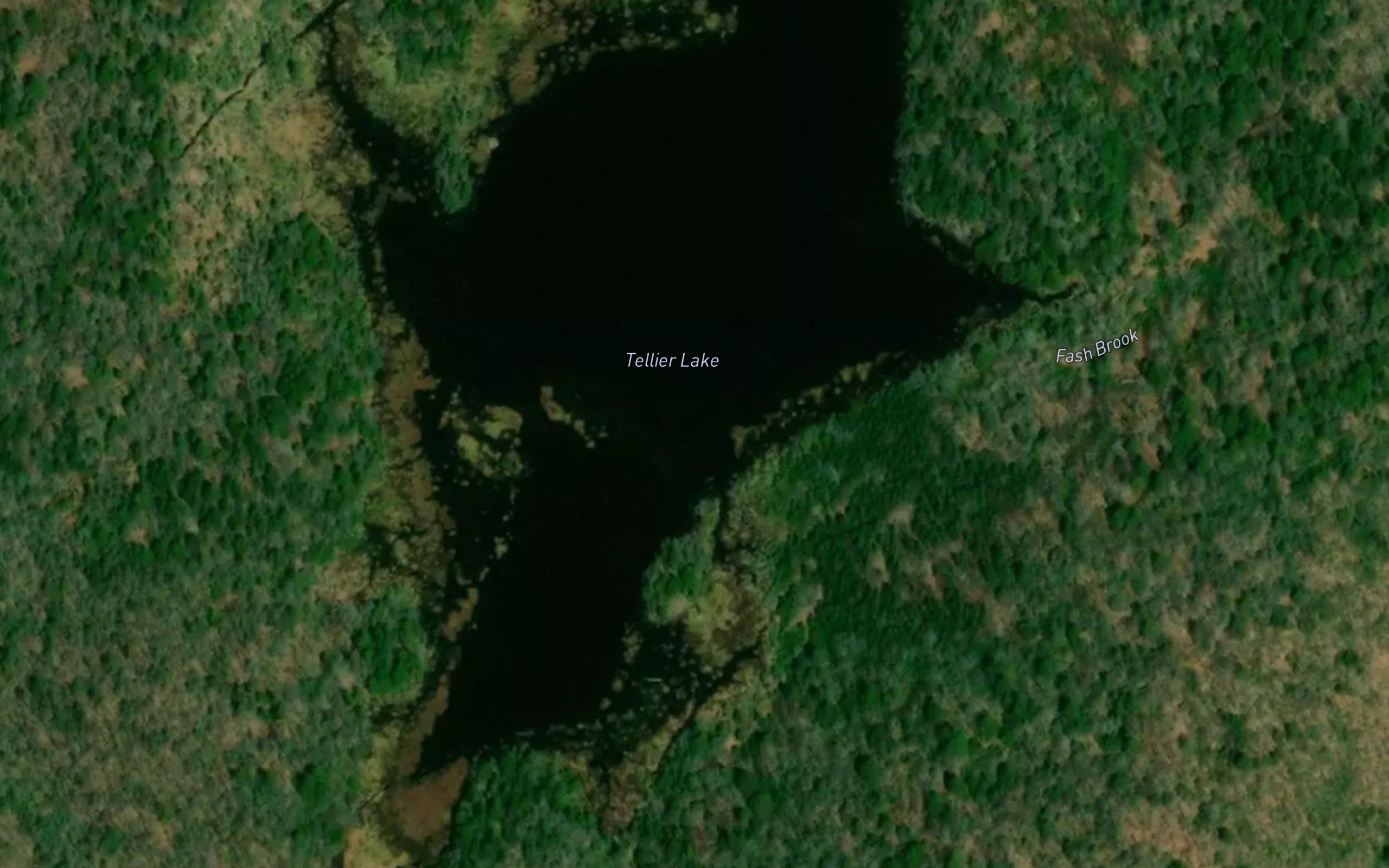 Tellier Lake