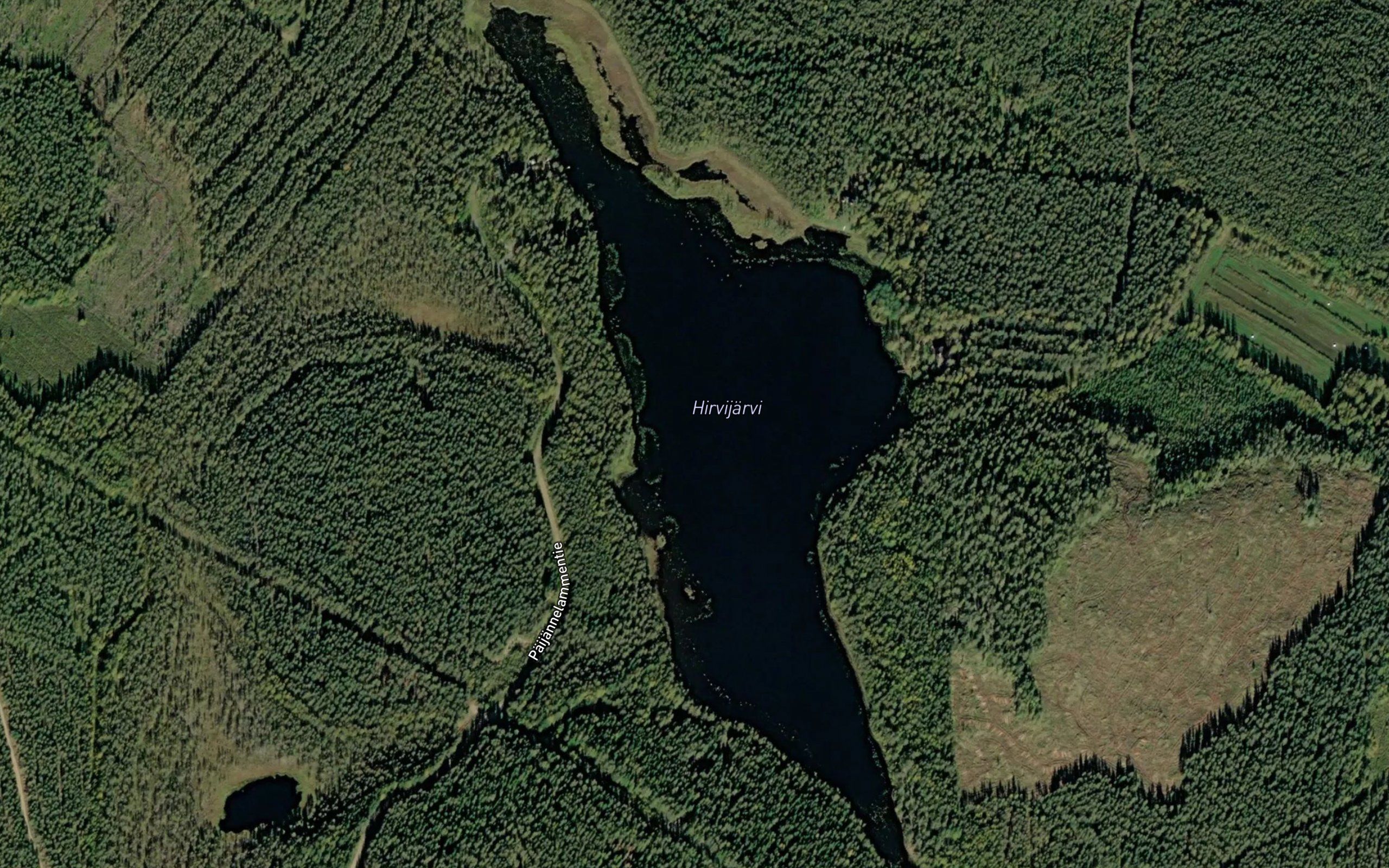 Hirvijarvi