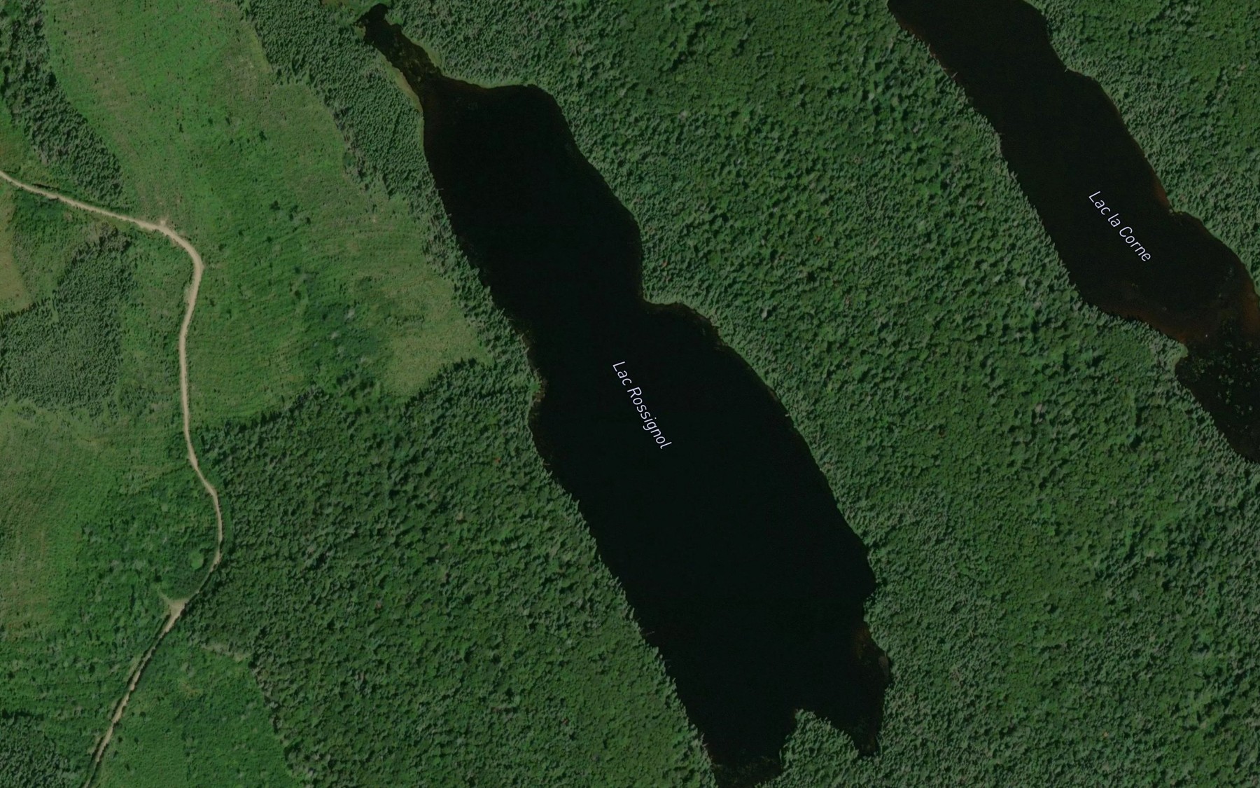 Satellite map of the Lac Rossignol