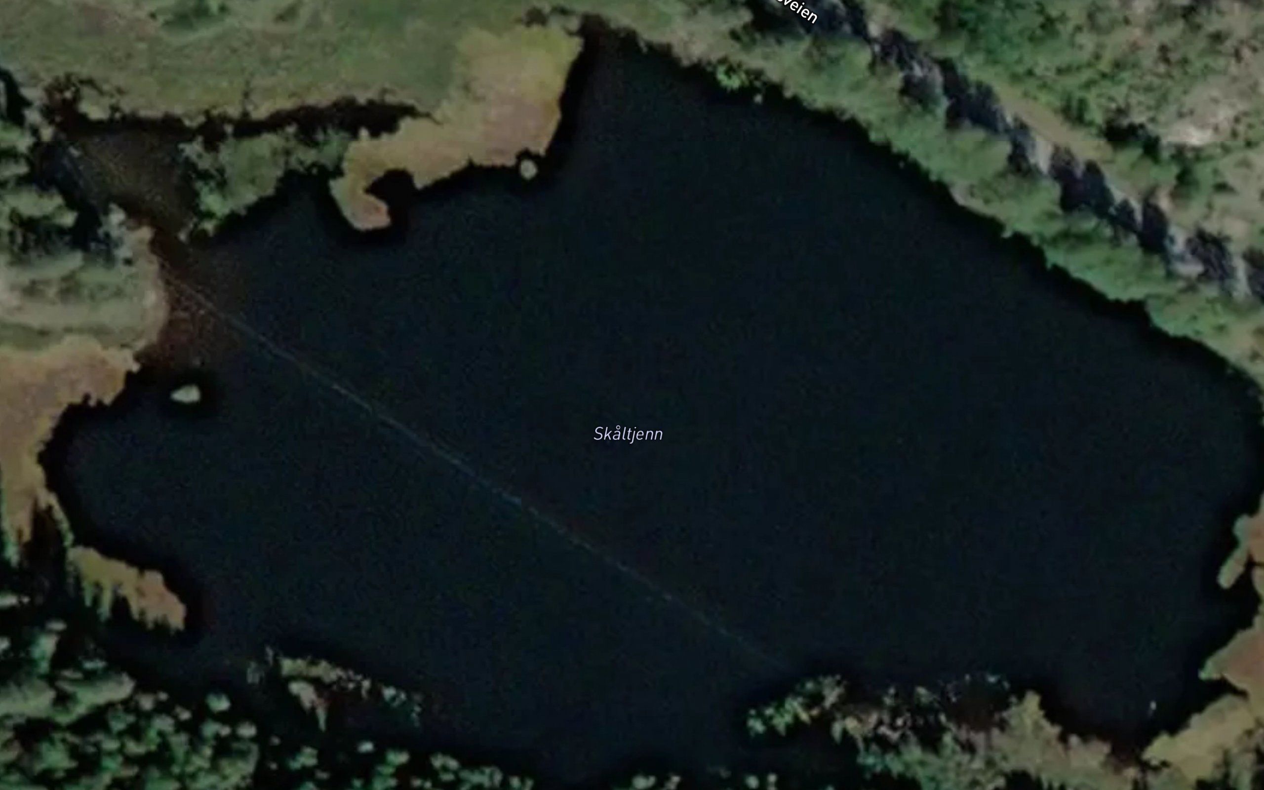 Skaltjenn