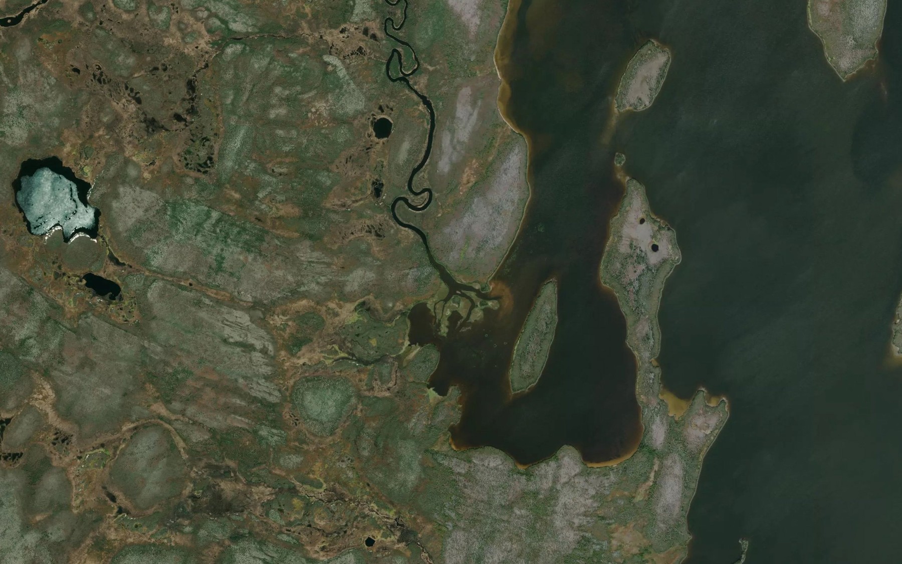 Satellite map of the Campbell River