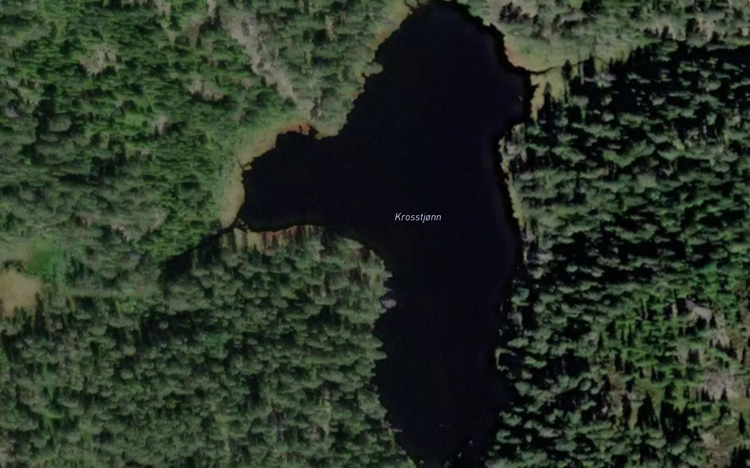Krosstjorn