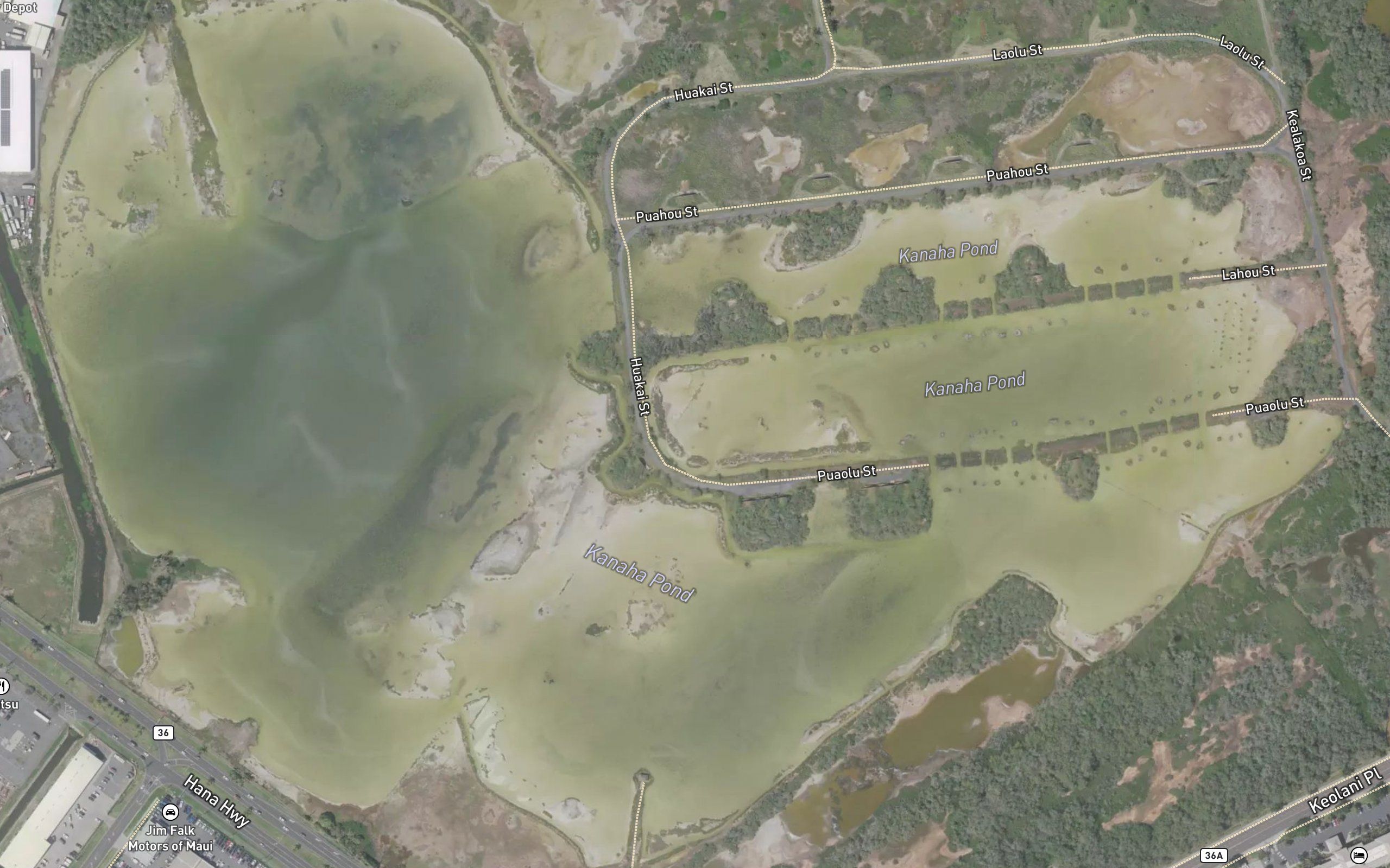 Kanaha Pond