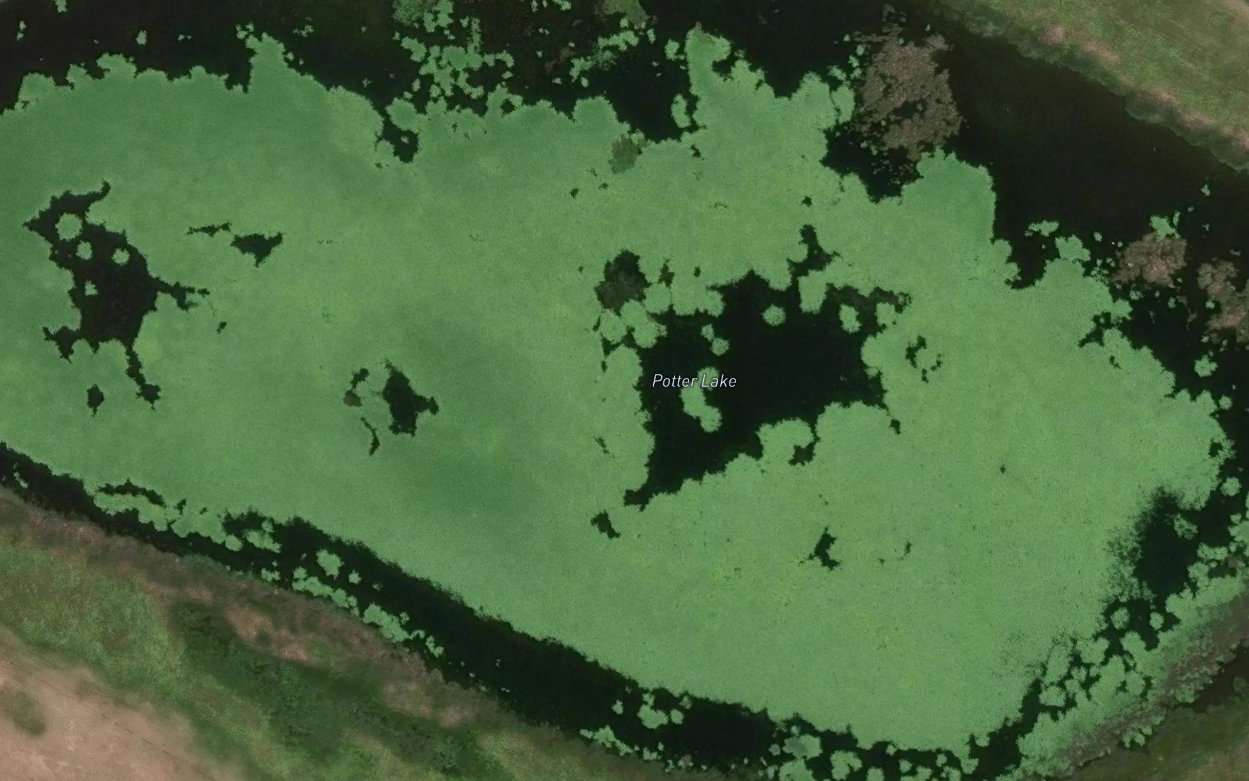 Potter Lake