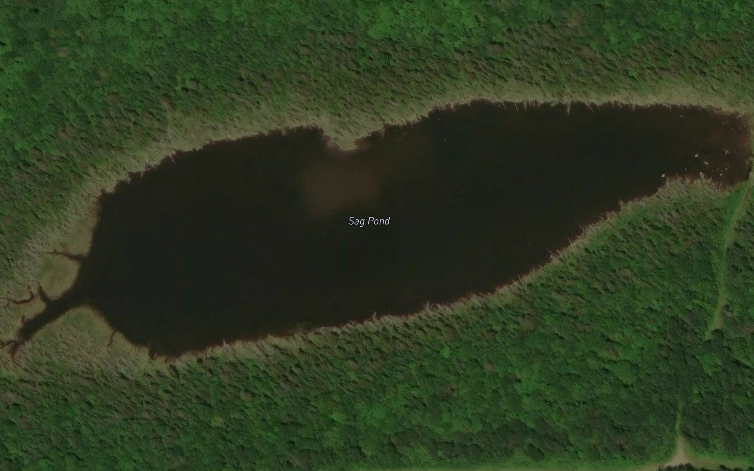 Sag Pond