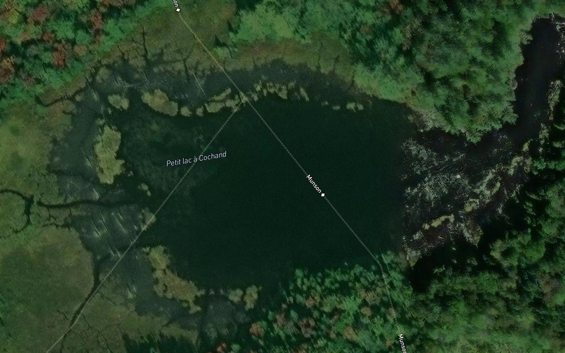 Satellite map of the Petit lac a Cochand