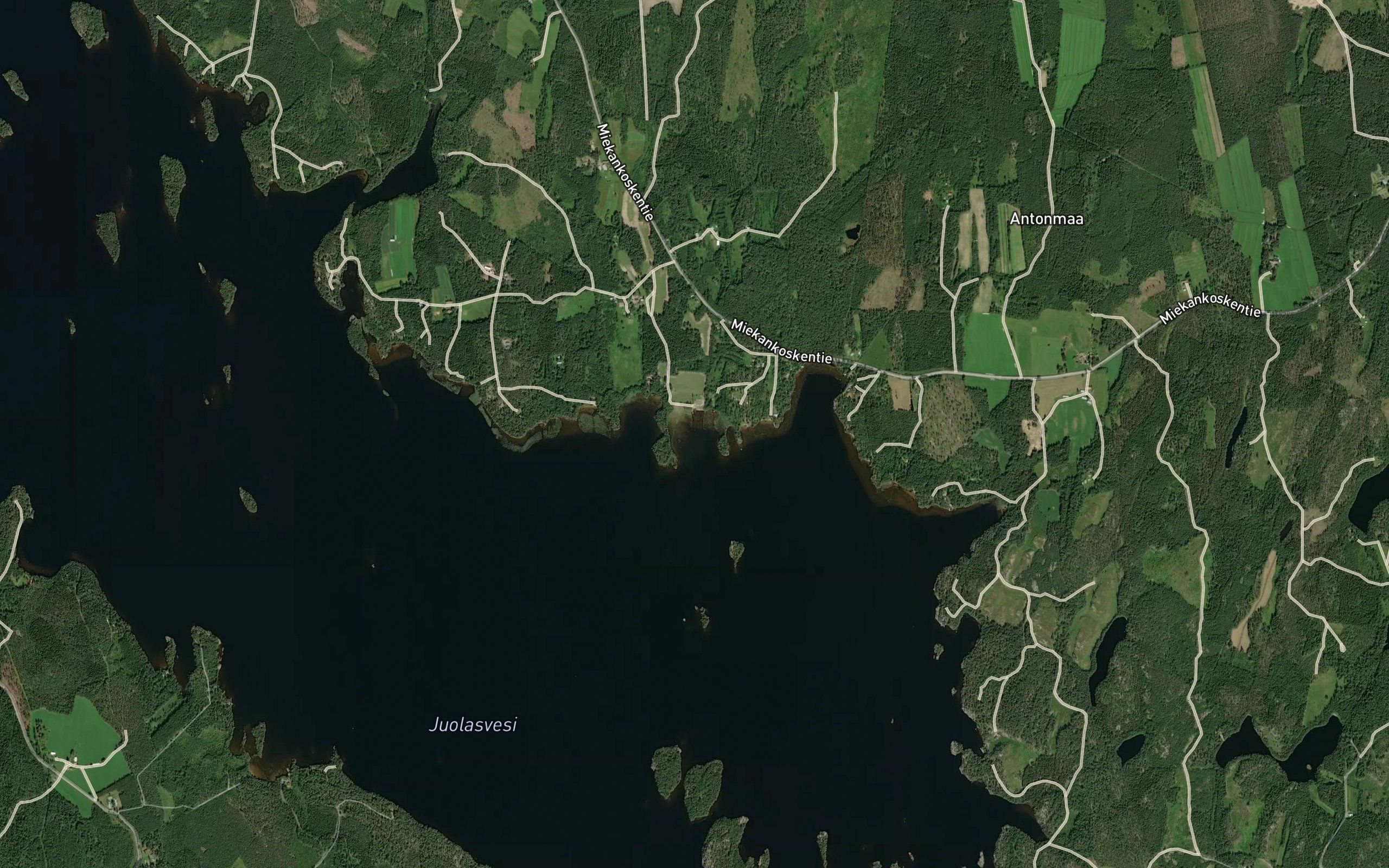 Levialahti