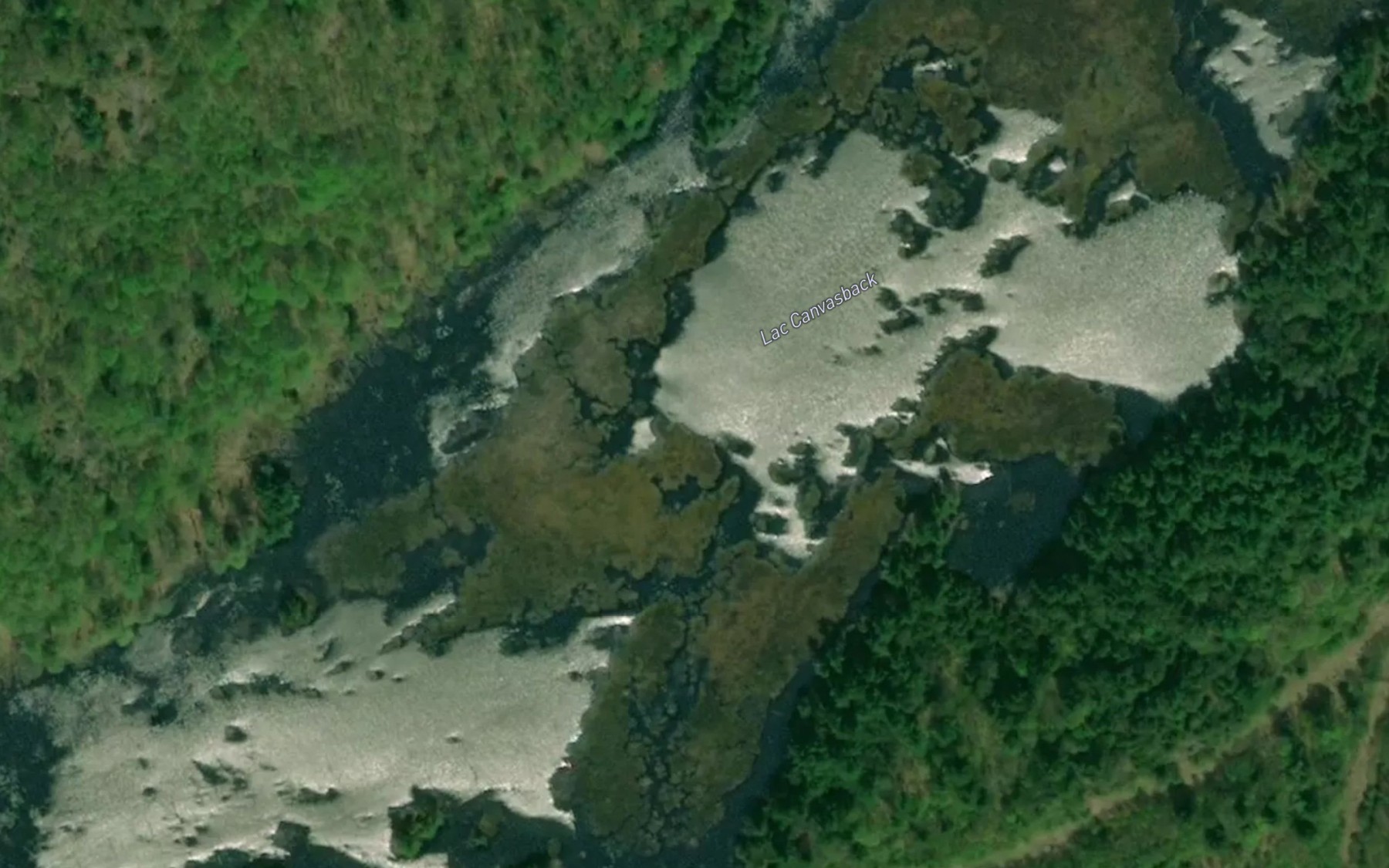 Satellite map of the Lac Canvasback