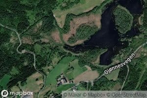 Kjonnlitjorna