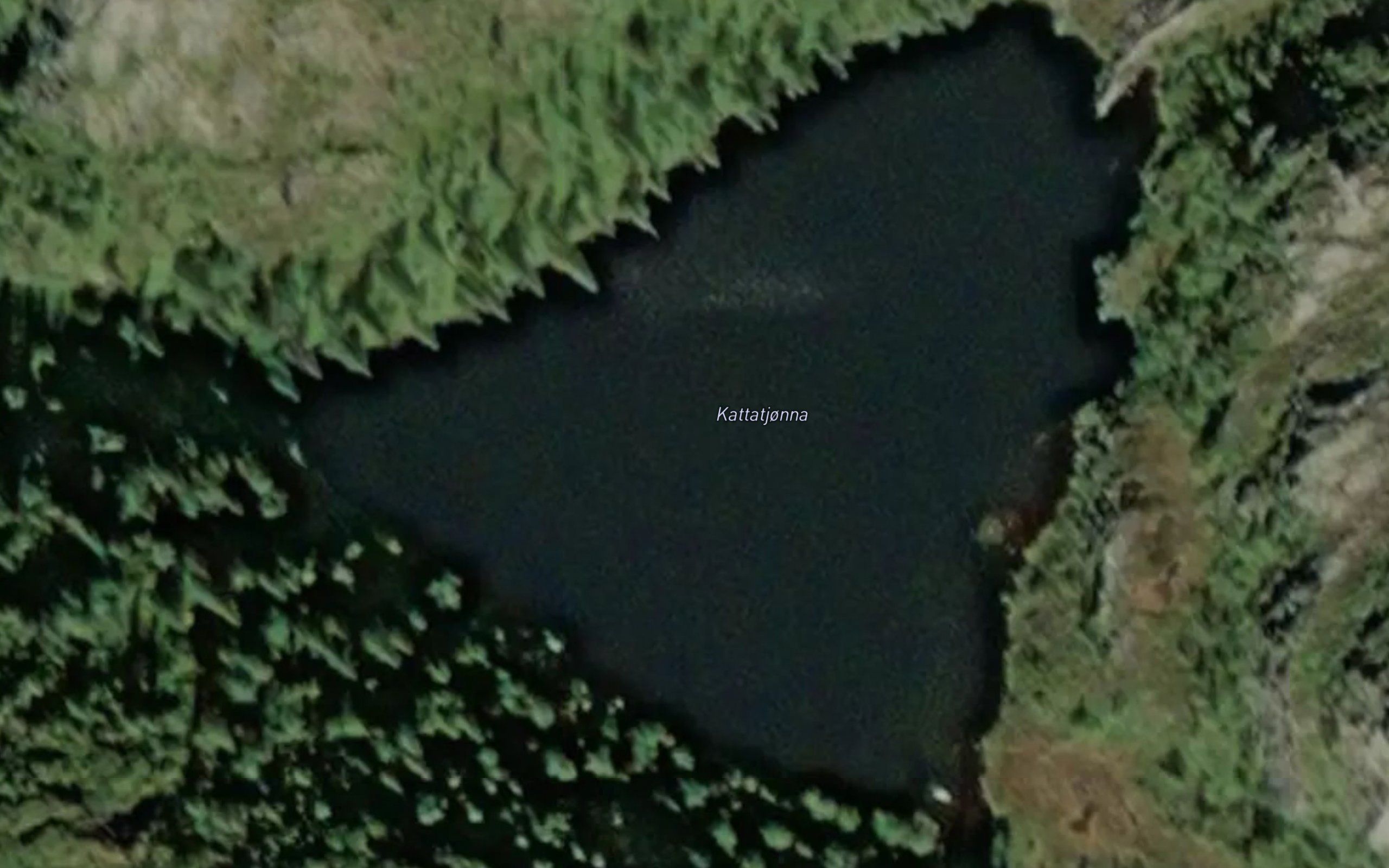 Kattatjorna