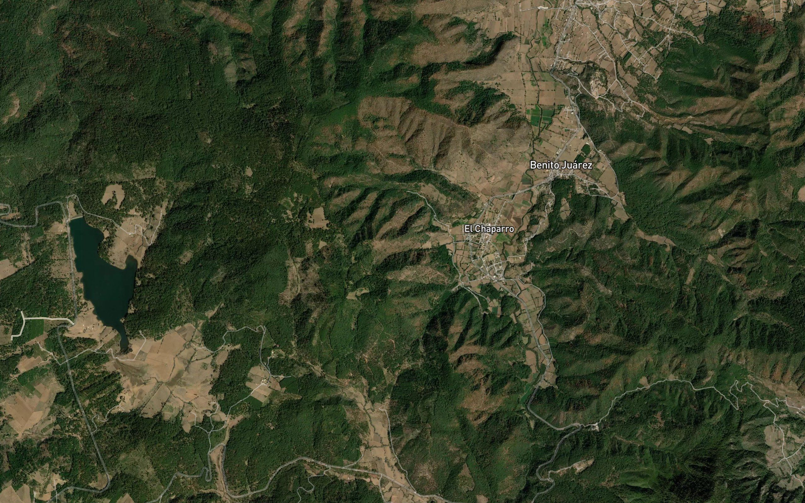 El Tejon