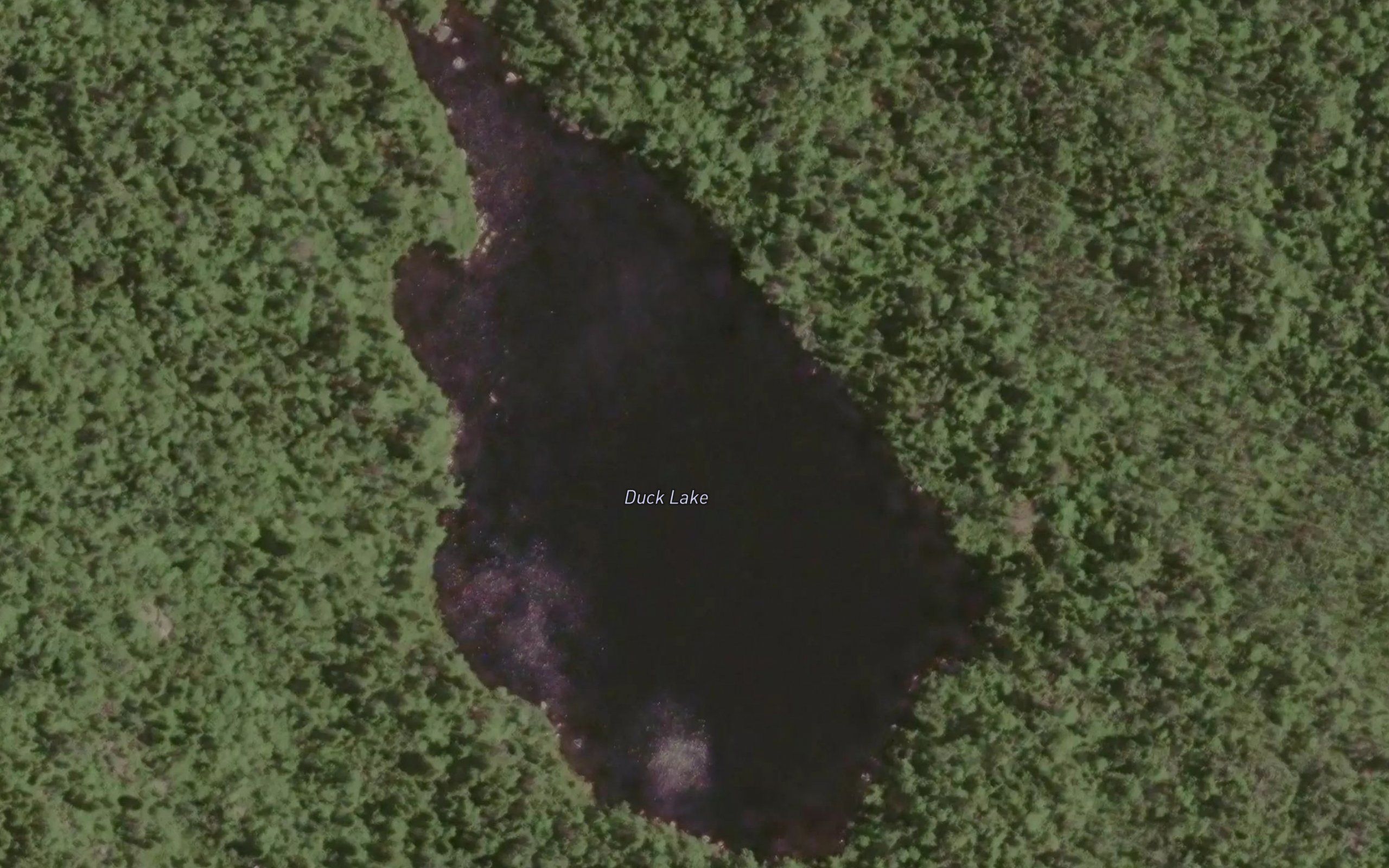 Duck Lake