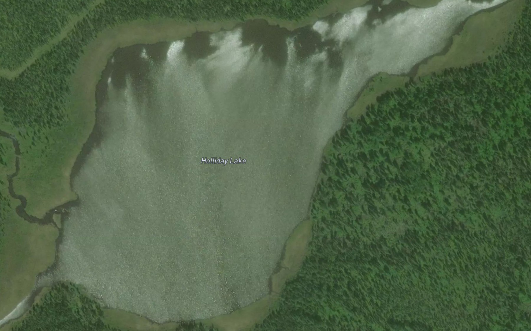 Satellite map of the Holliday Lake