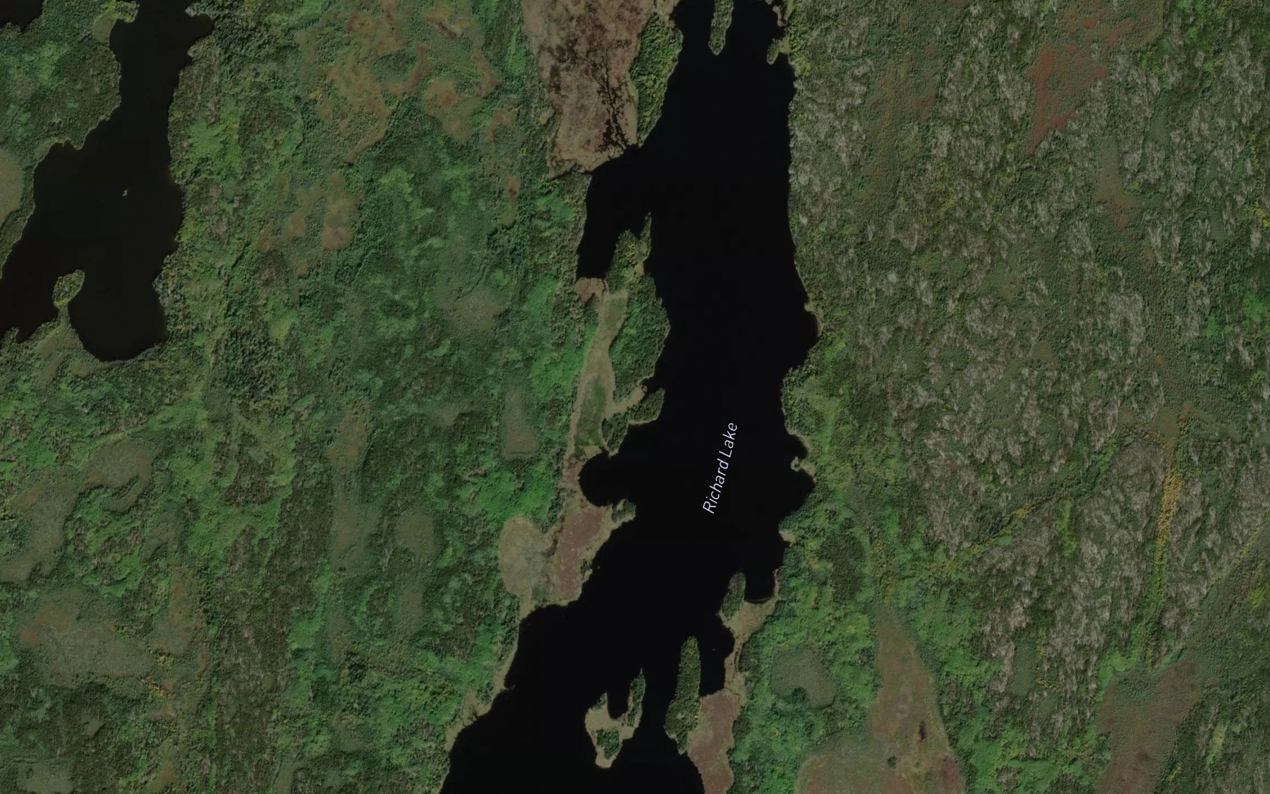 Satellite map of the Richard Lake