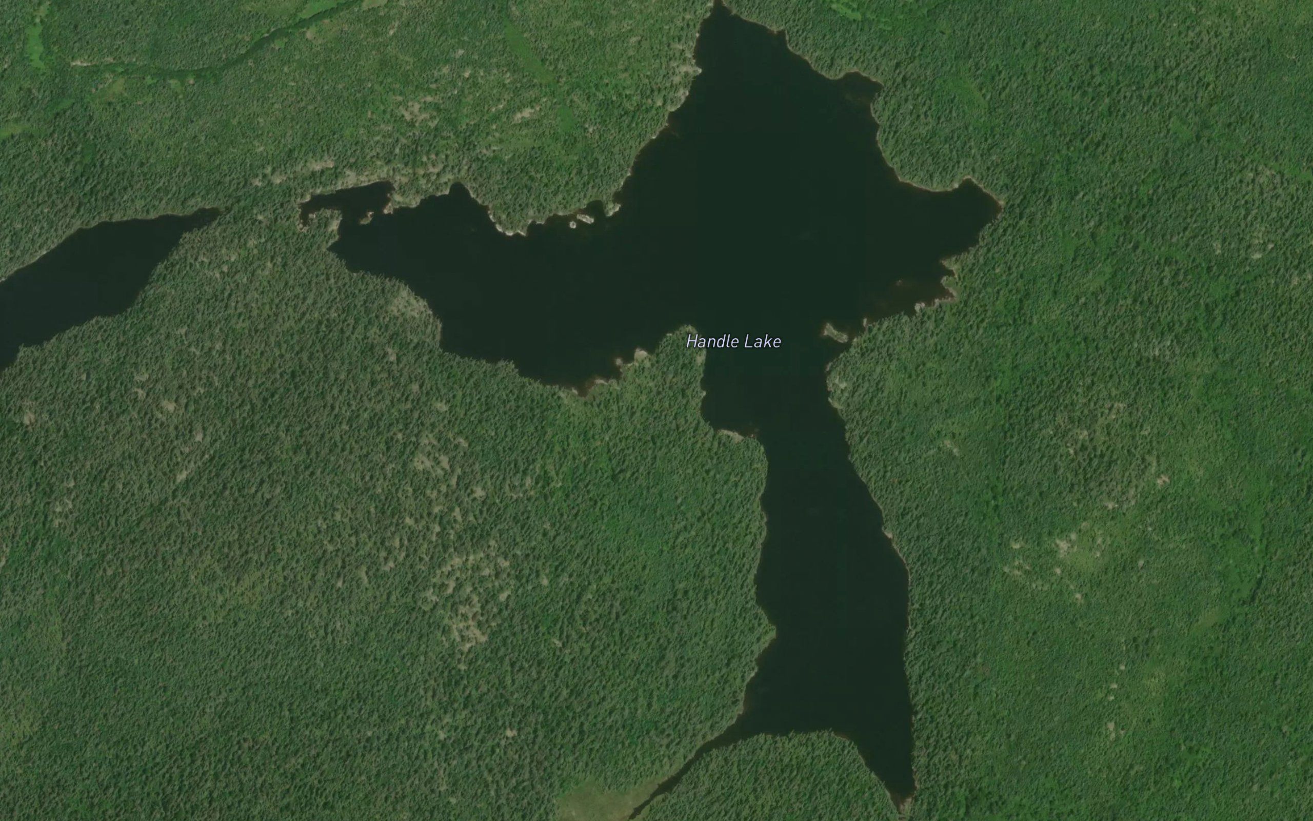Handle Lake