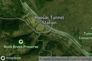 Reed Brook