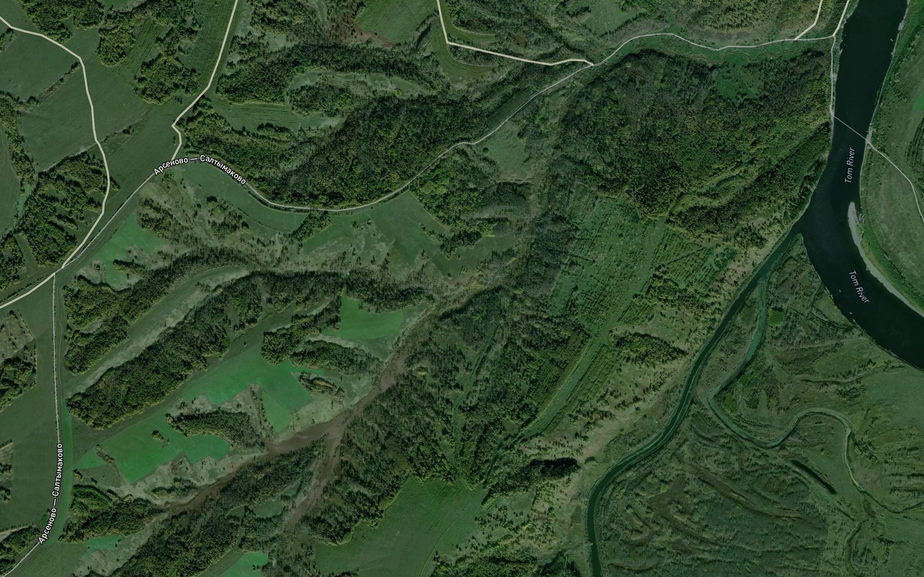 Satellite map of the Stepnaya