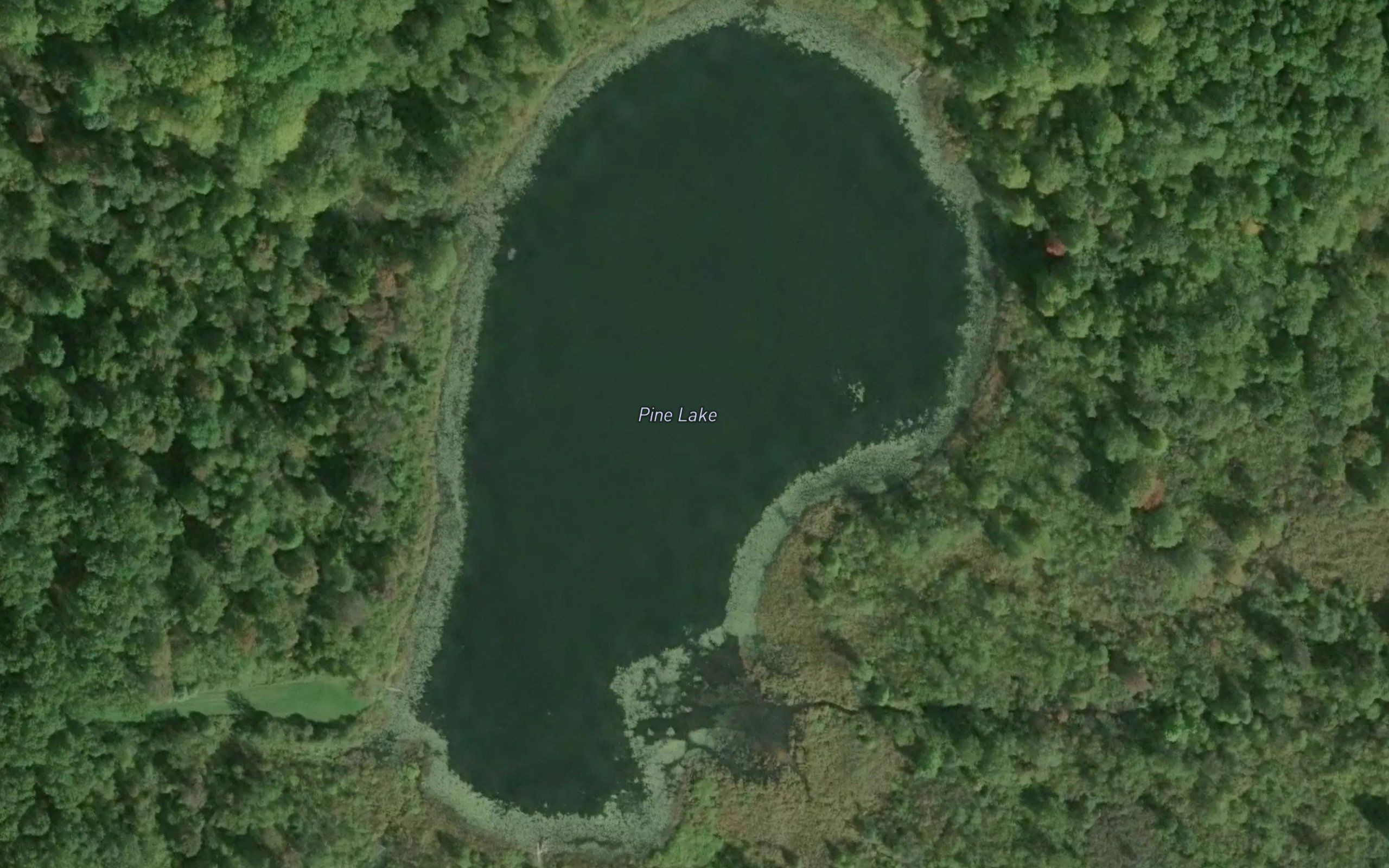 Pine Lake
