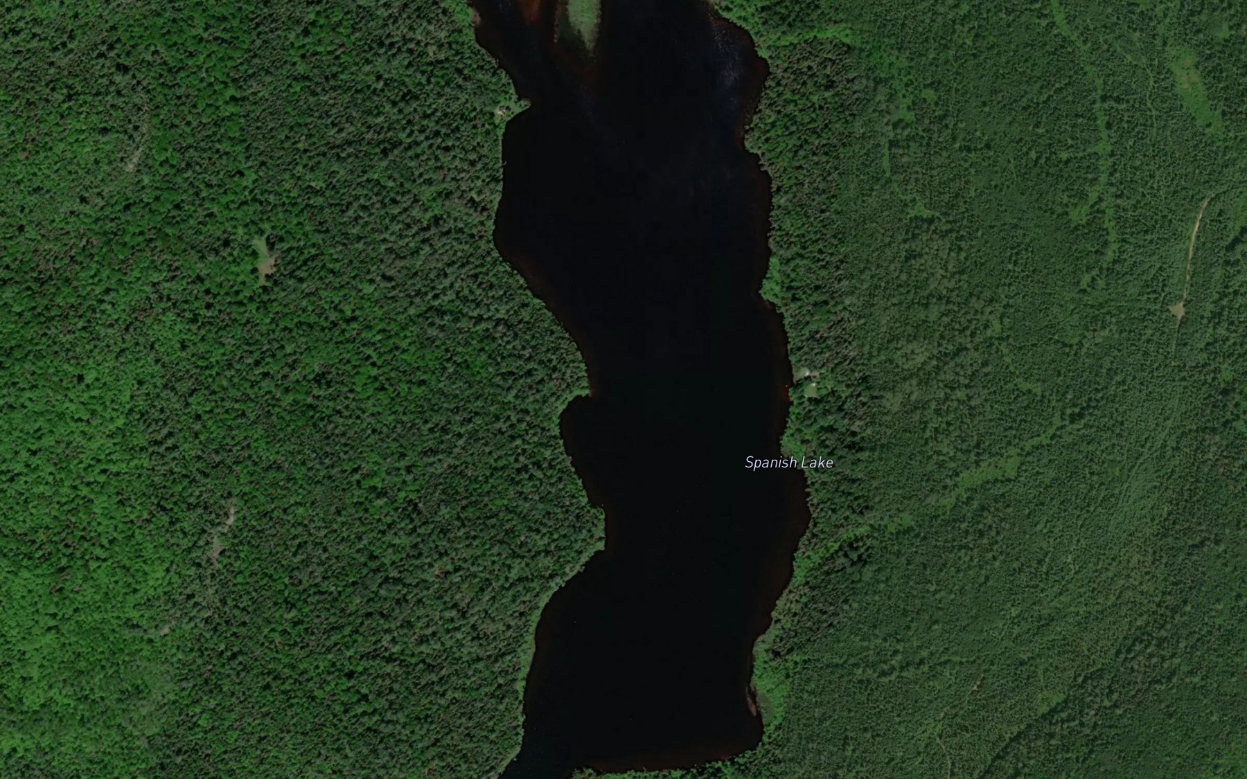 Satellite map of the Spanish Lake
