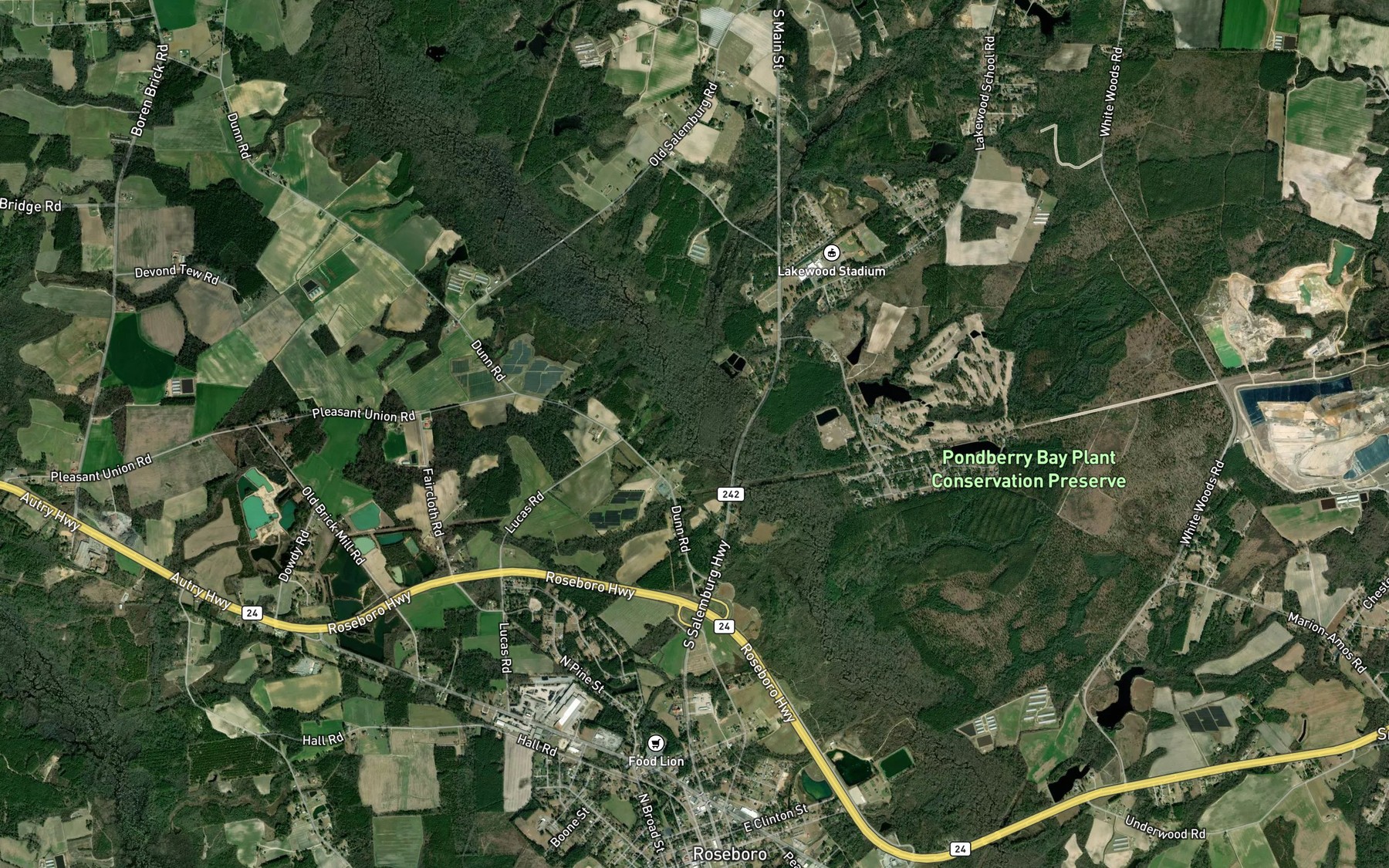 Satellite map of the Rye Swamp