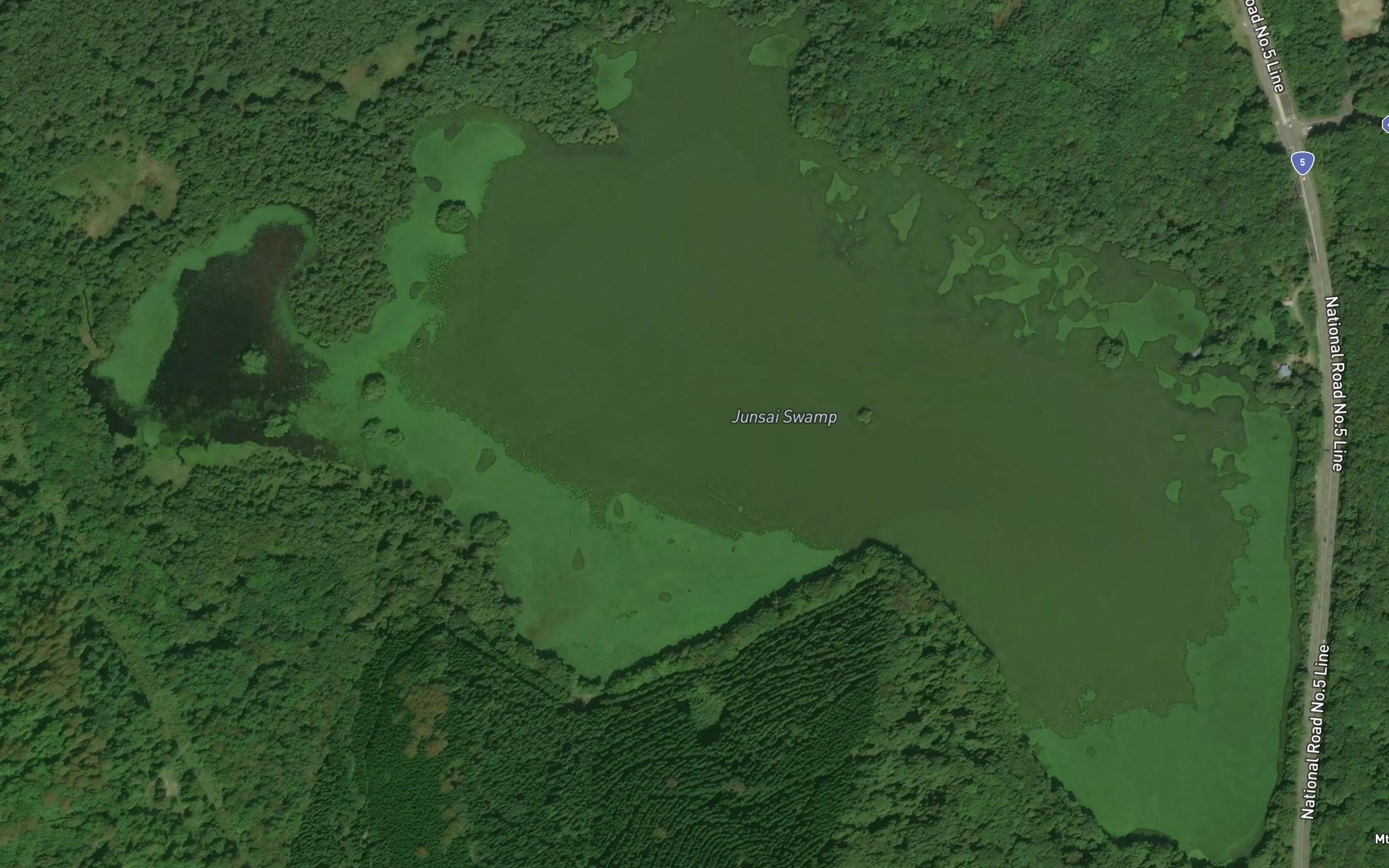Satellite map of the Junsai Numa