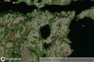 Lac Herring