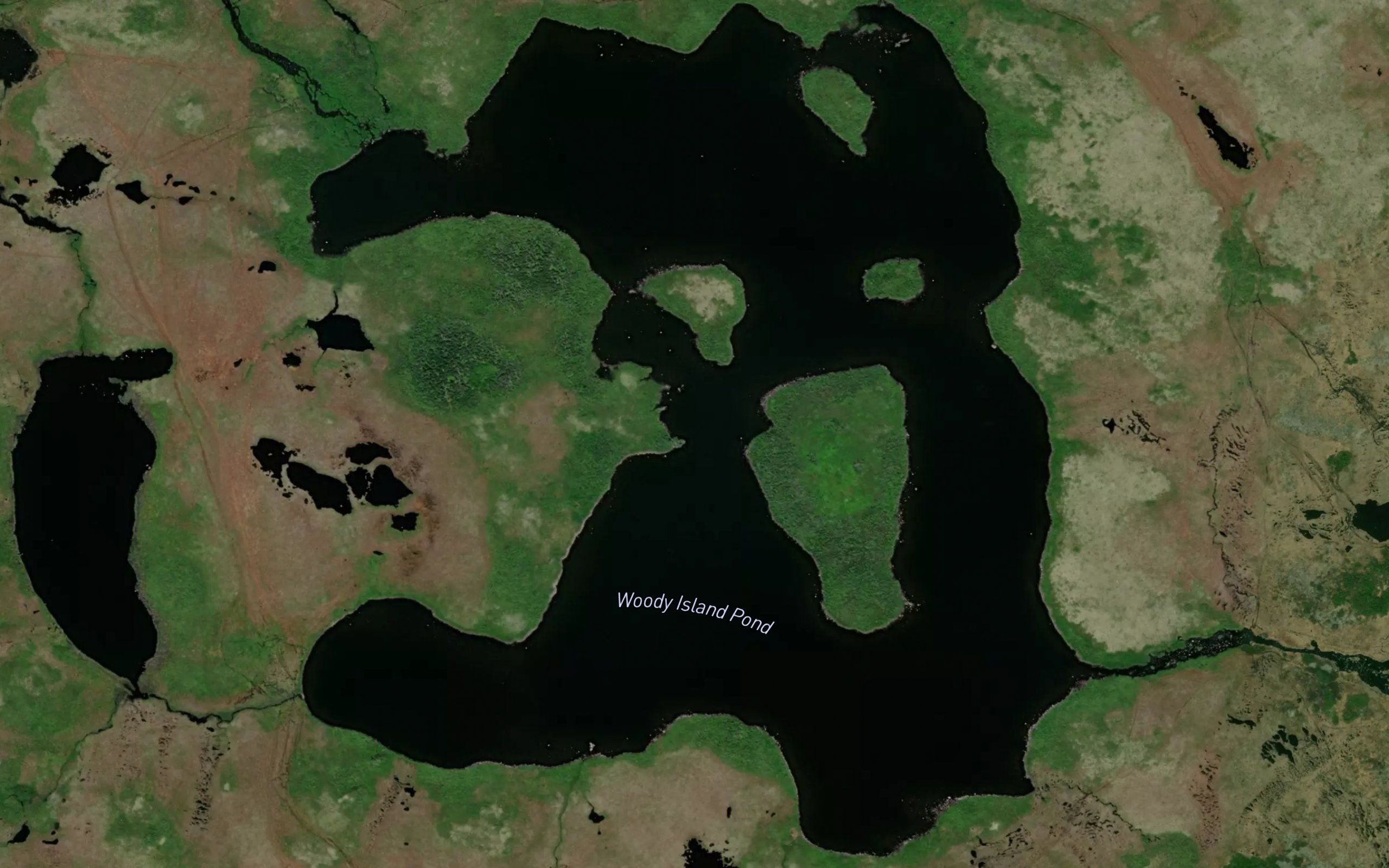 Woody Island Pond