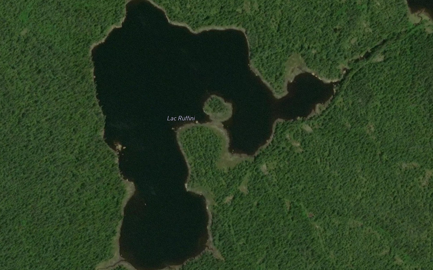 Satellite map of the Lac Ruffini