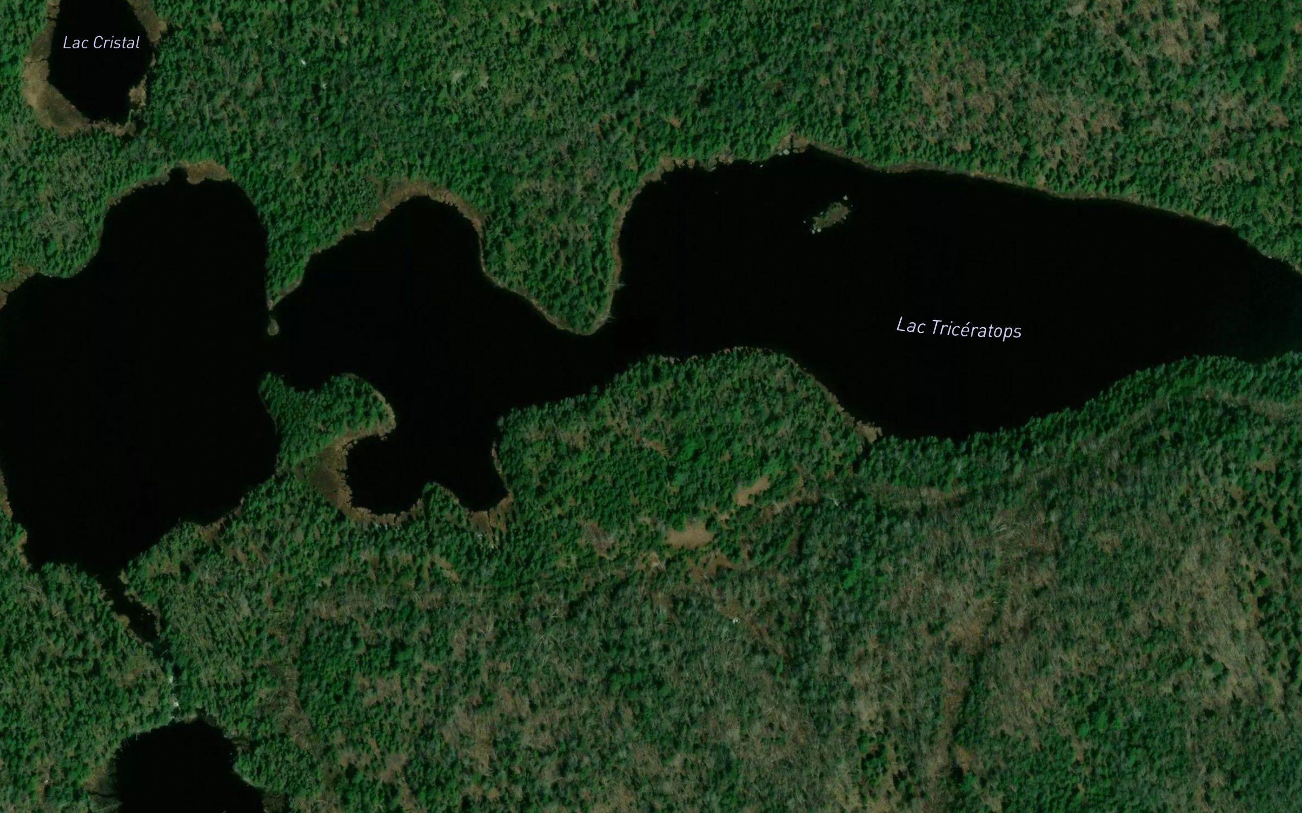 Lac Triceratops