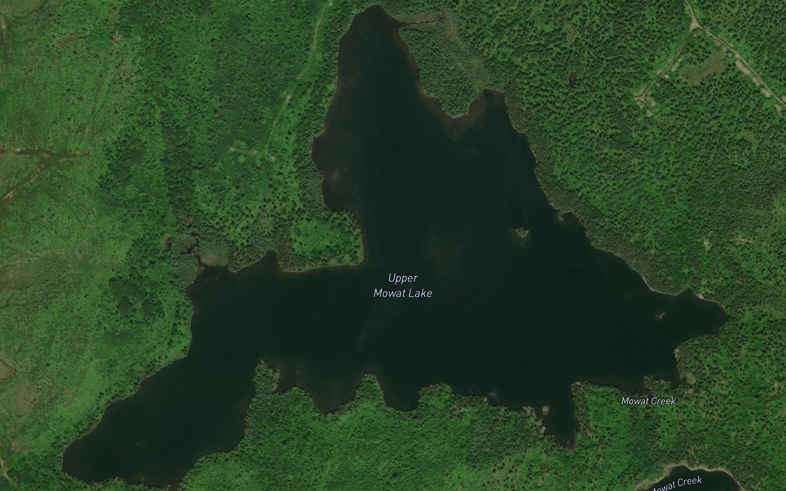 Upper Mowat Lake