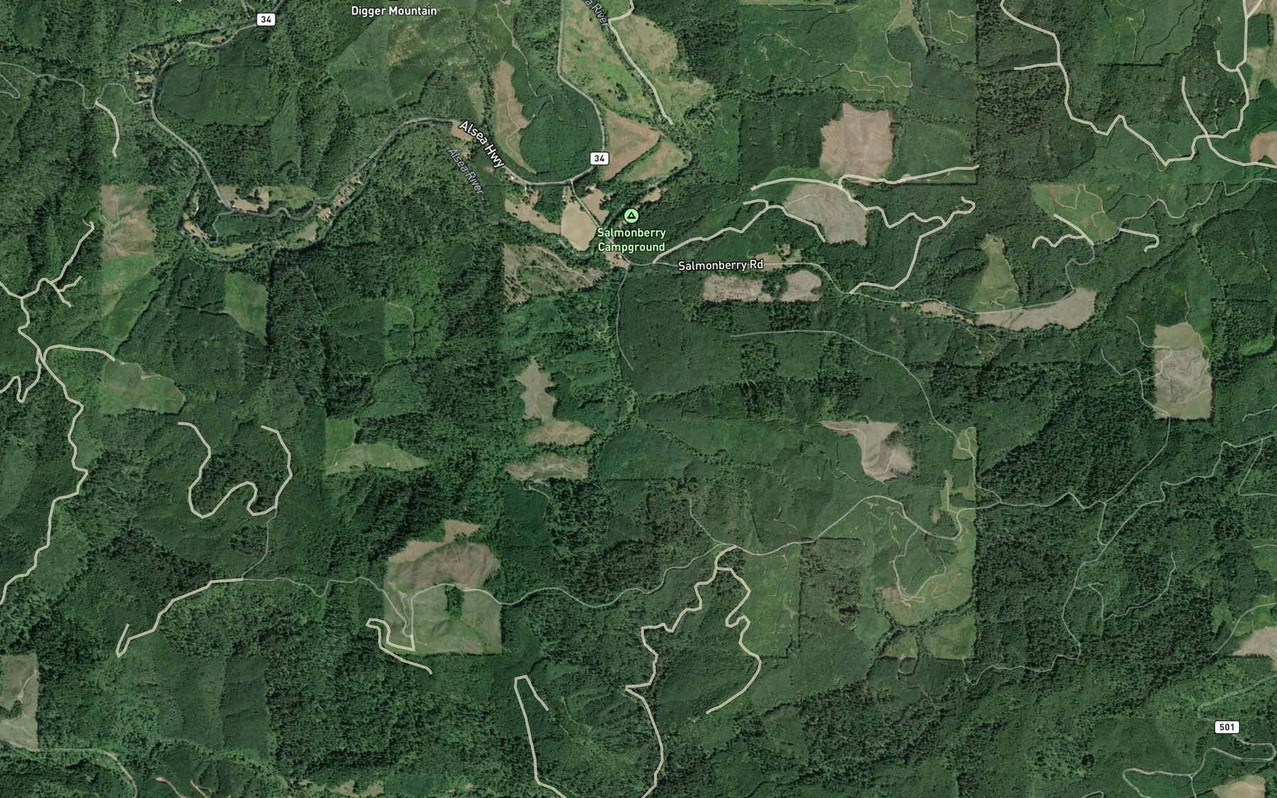 Satellite map of the South Fork Salmonberry Creek